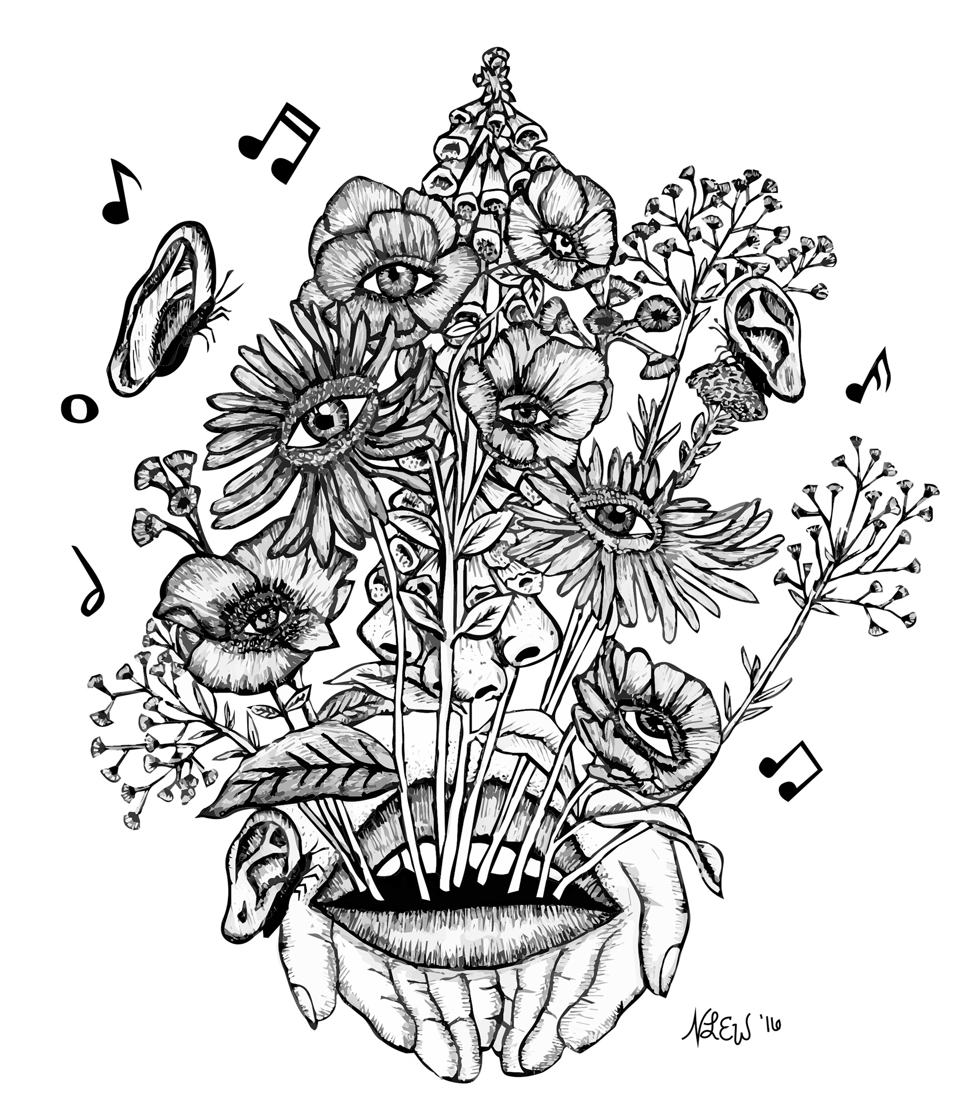Spectrum of Senses