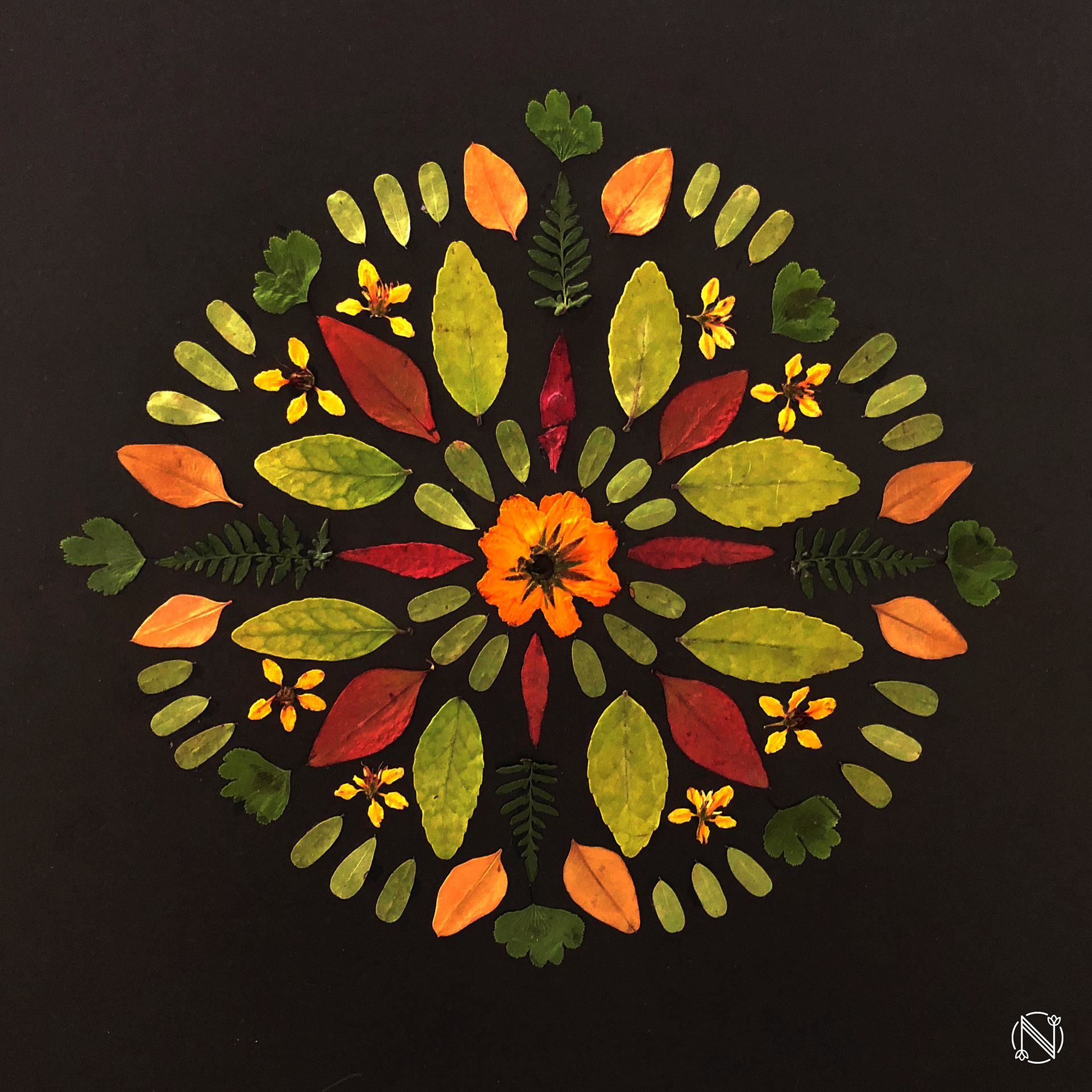 Mandala 5