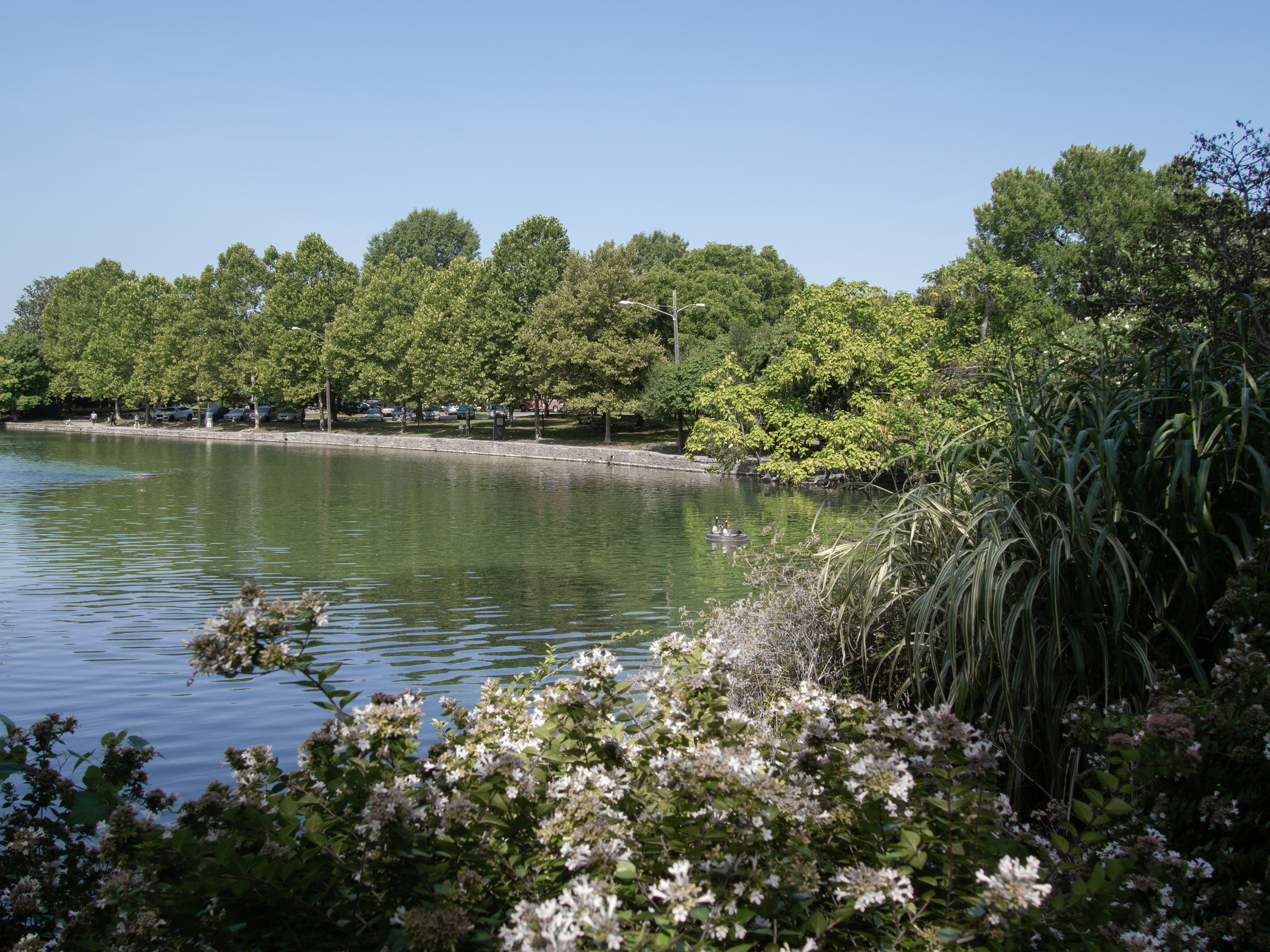 Centennial Park