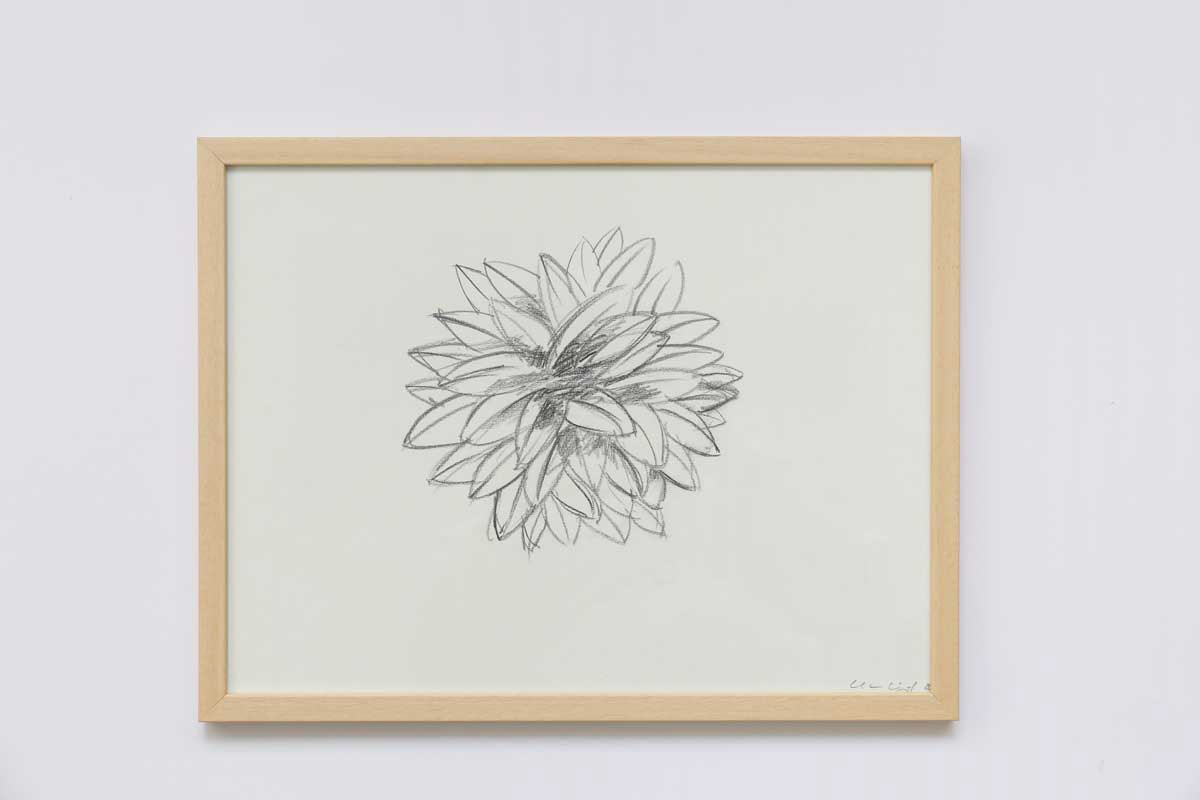 Christian Voigt, Zeichnung