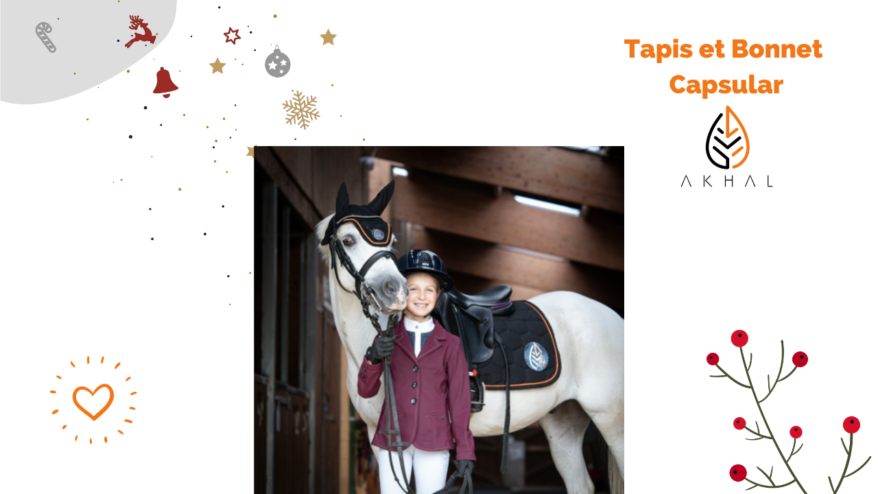 Cadeau de Noël pour cheval : notre séléction - HoCaPa