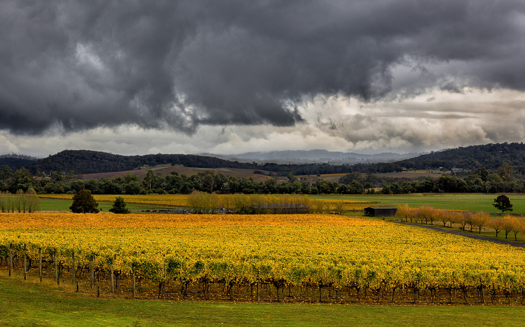 Approaching Autumn Storm