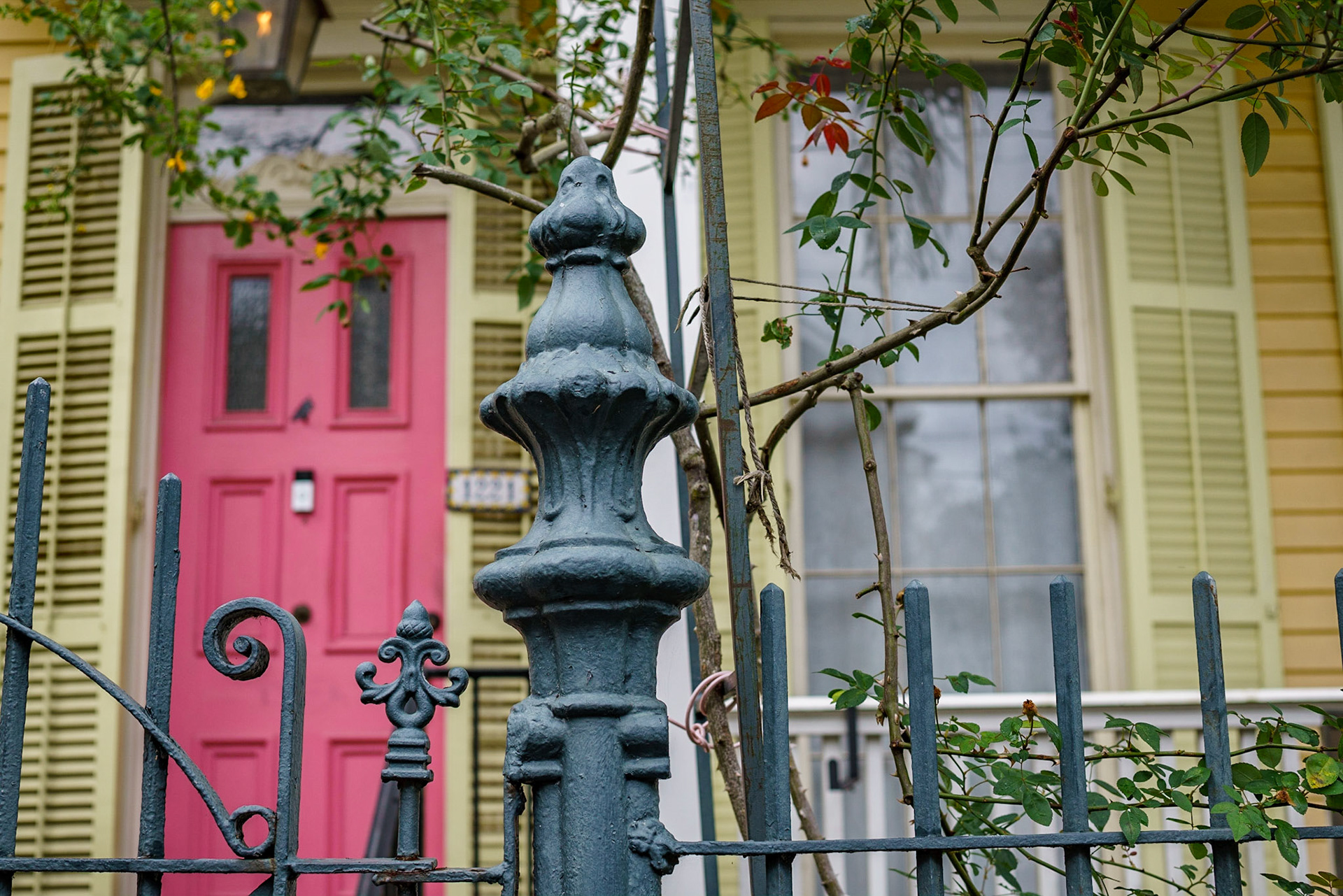 Garden District, New Orleans Louisiana - by Alison Northway - January 2022