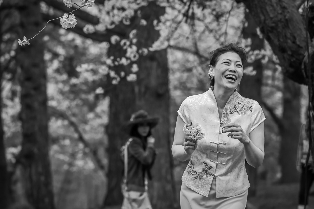 Sakura Portrait, 2015