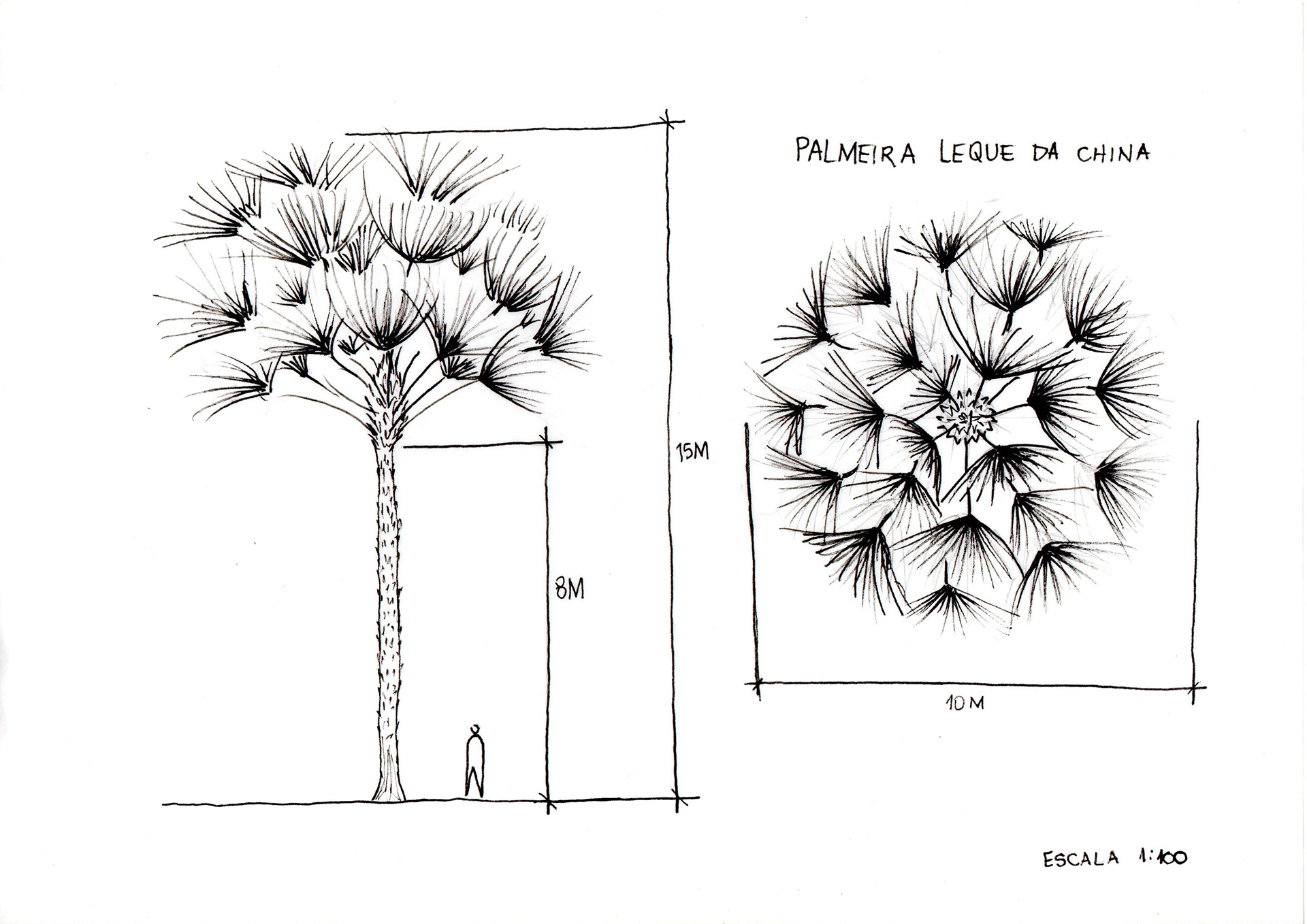 Vegetação Do Campo - Desenho de bagodeouro - Gartic