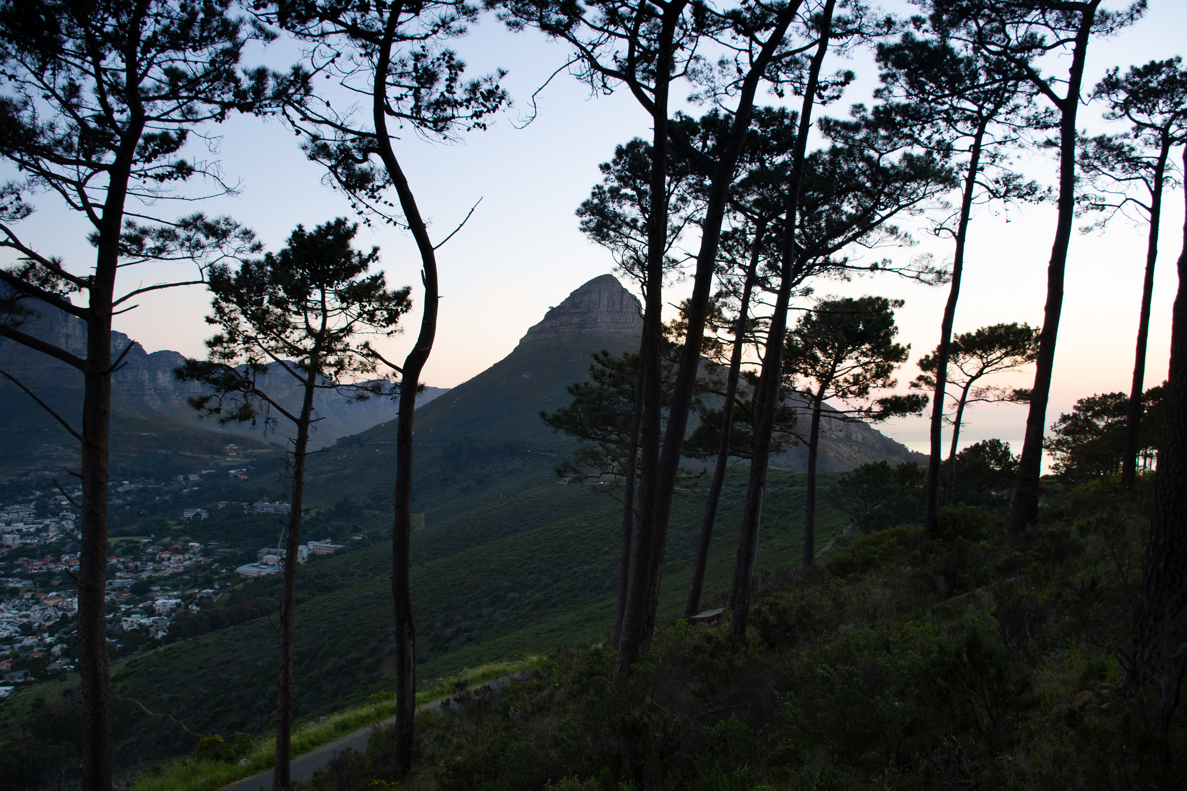 LIon's Head