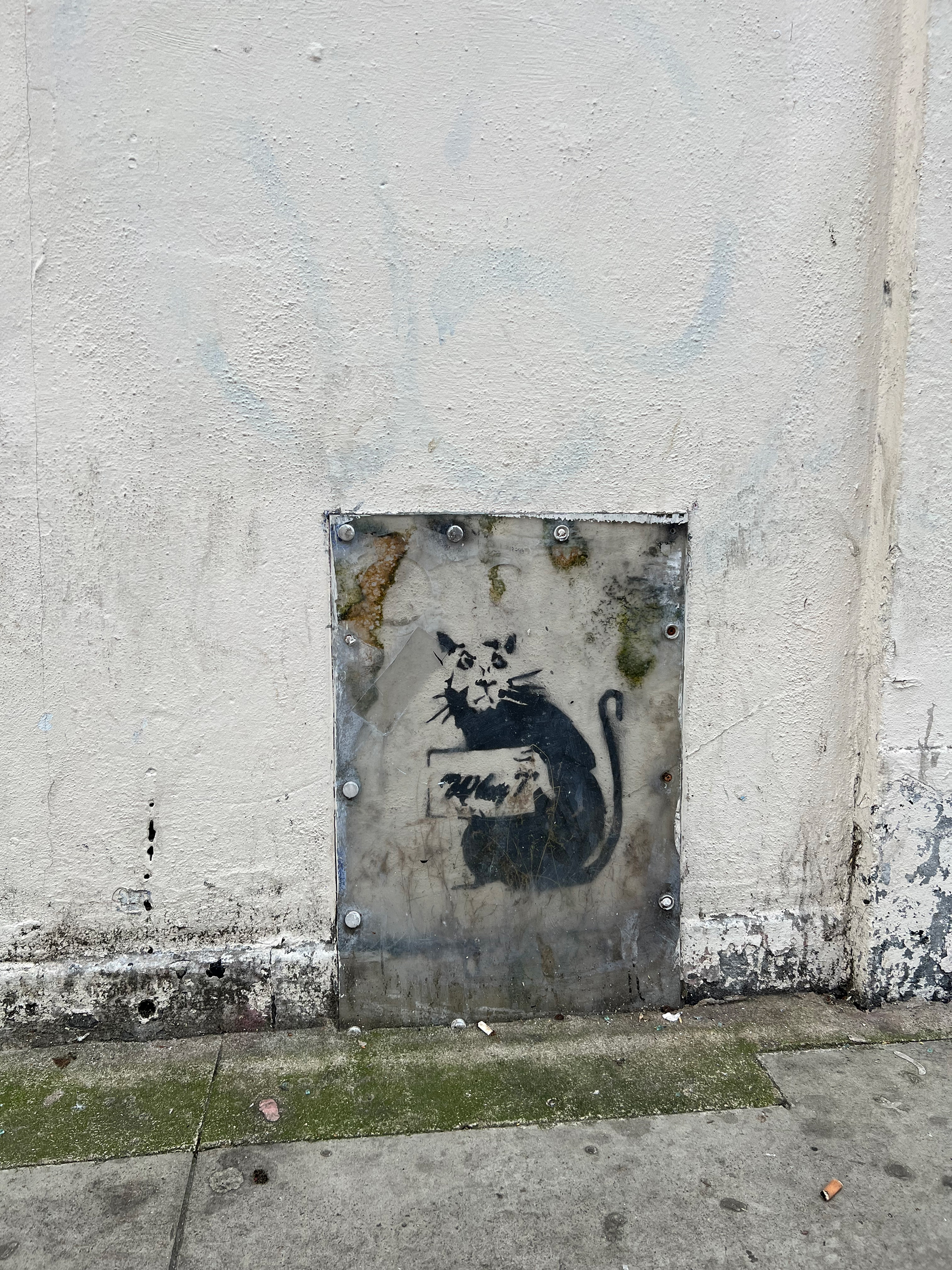 Rat with 'Why?' sign 2013