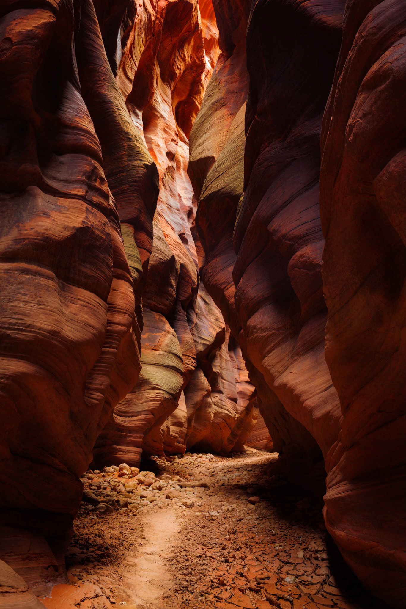 One could spend an days exploring Buckskin Gulch, which is possibly the longest slot canyon in the world -- certainly the longest in North America, at nearly 15 miles in length.Grand Staircase - Escalante National MonumentUtahNovember 13, 2017PENTAX K-1, HD PENTAX-D FA 24-70mm F2.8ED SDM WRISO 100 43 mm  1.6 sec at ƒ / 11