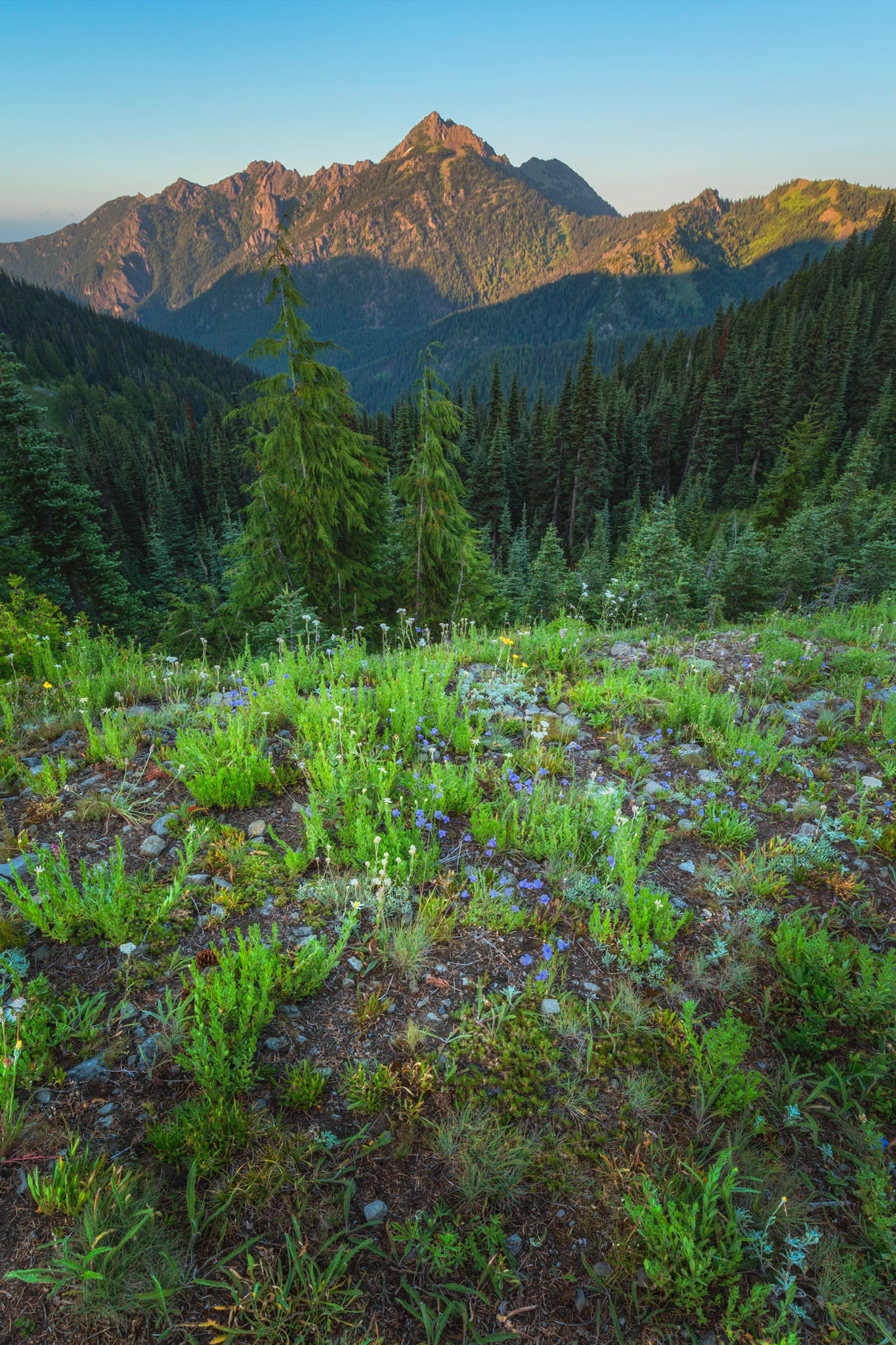 Mount Angeles at sunset, from Hurricane Ridge.Olympic National ParkWashingtonJuly 30, 2016This is an HDR image consisting of 5 exposures merged in Photomatix Pro. Additional processing in Lightroom and Photoshop.PENTAX K-1, HD PENTAX-D FA 15-30mm F2.8ED SDM WRISO 100 16 mm  ¹⁄₁₀ sec at ƒ / 22