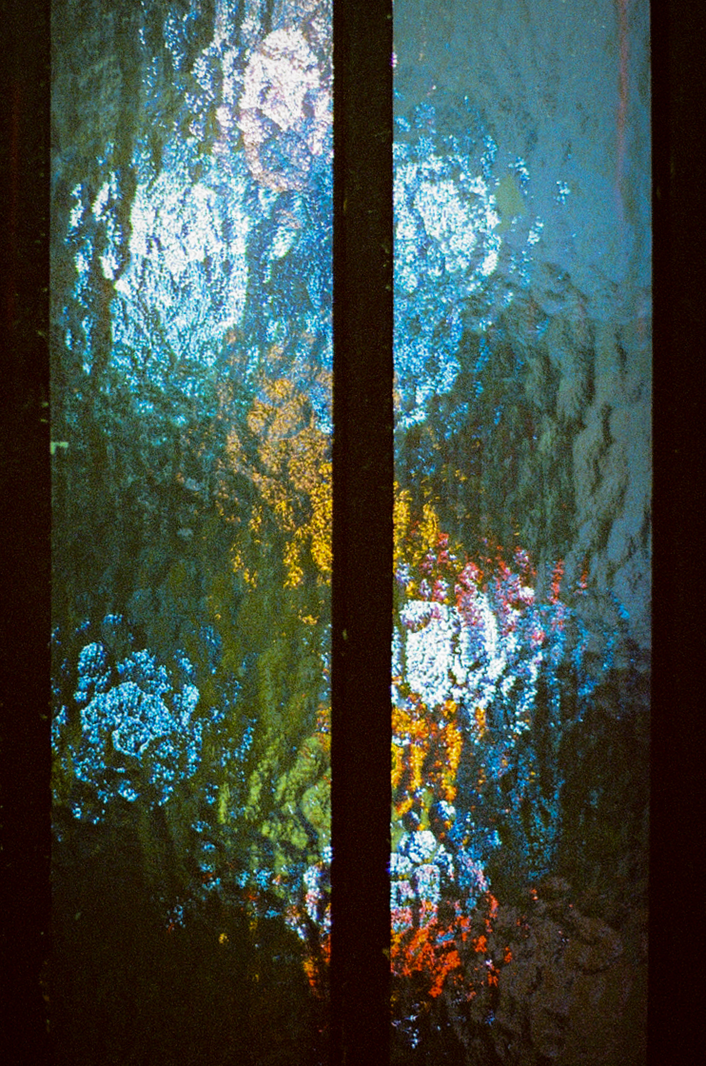 Voigtländer BESSA R2M • CINESTILL 800t • 2021