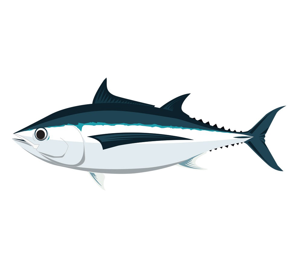 Download Fishboi Creative - Evan Wright - All the Tunas - Vector ...