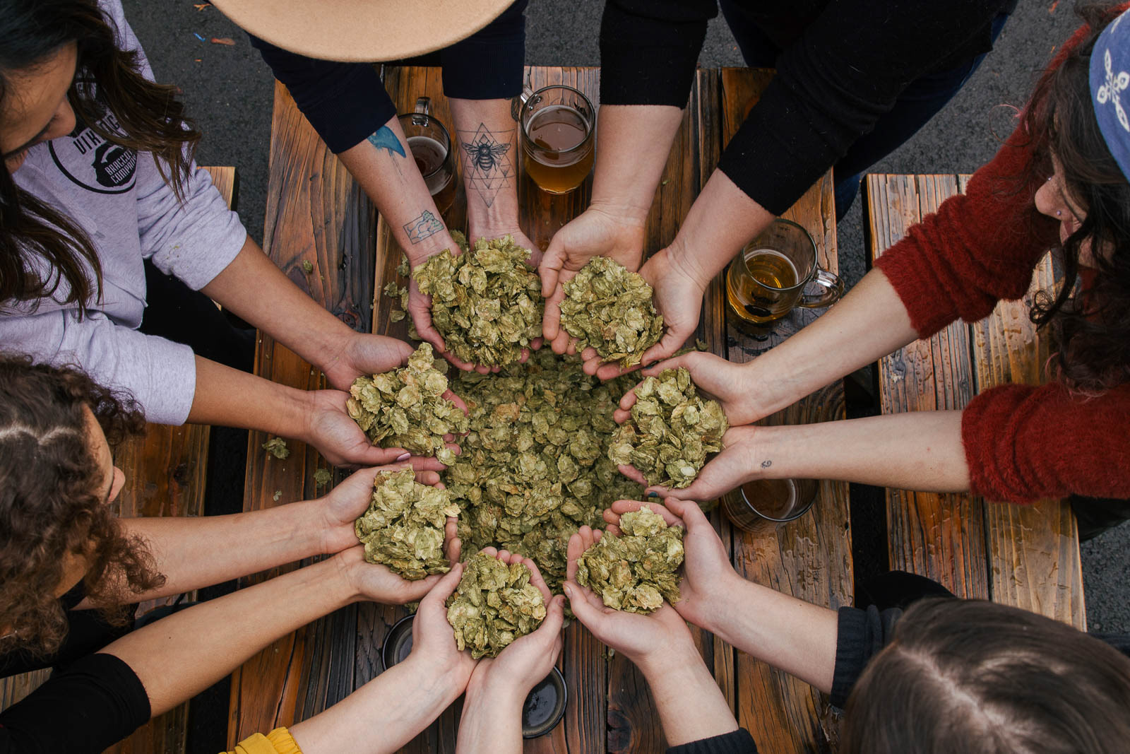 Women of Viking Braggot Company holding handfuls of fresh hops at brewery