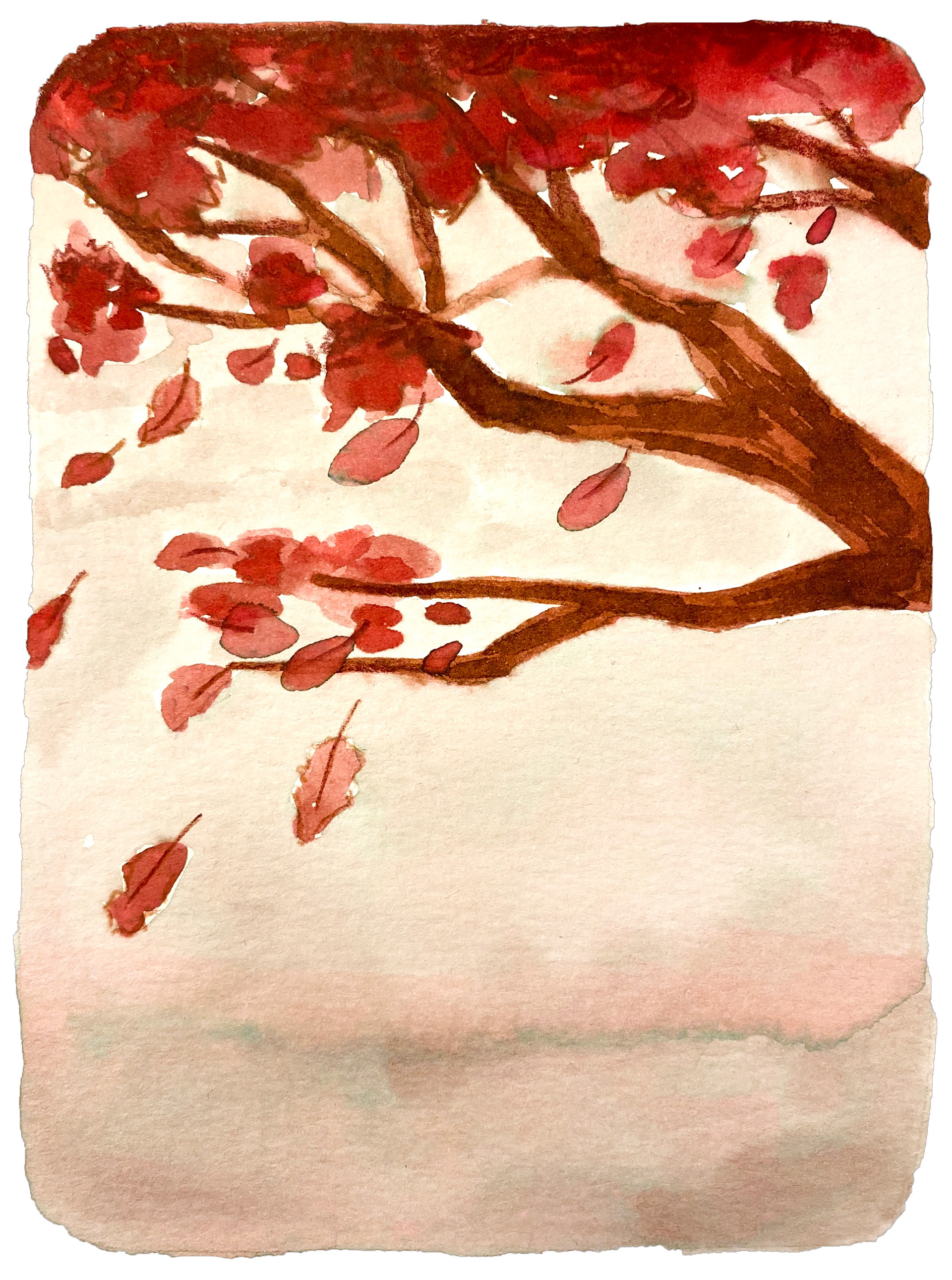 Frail 8/31