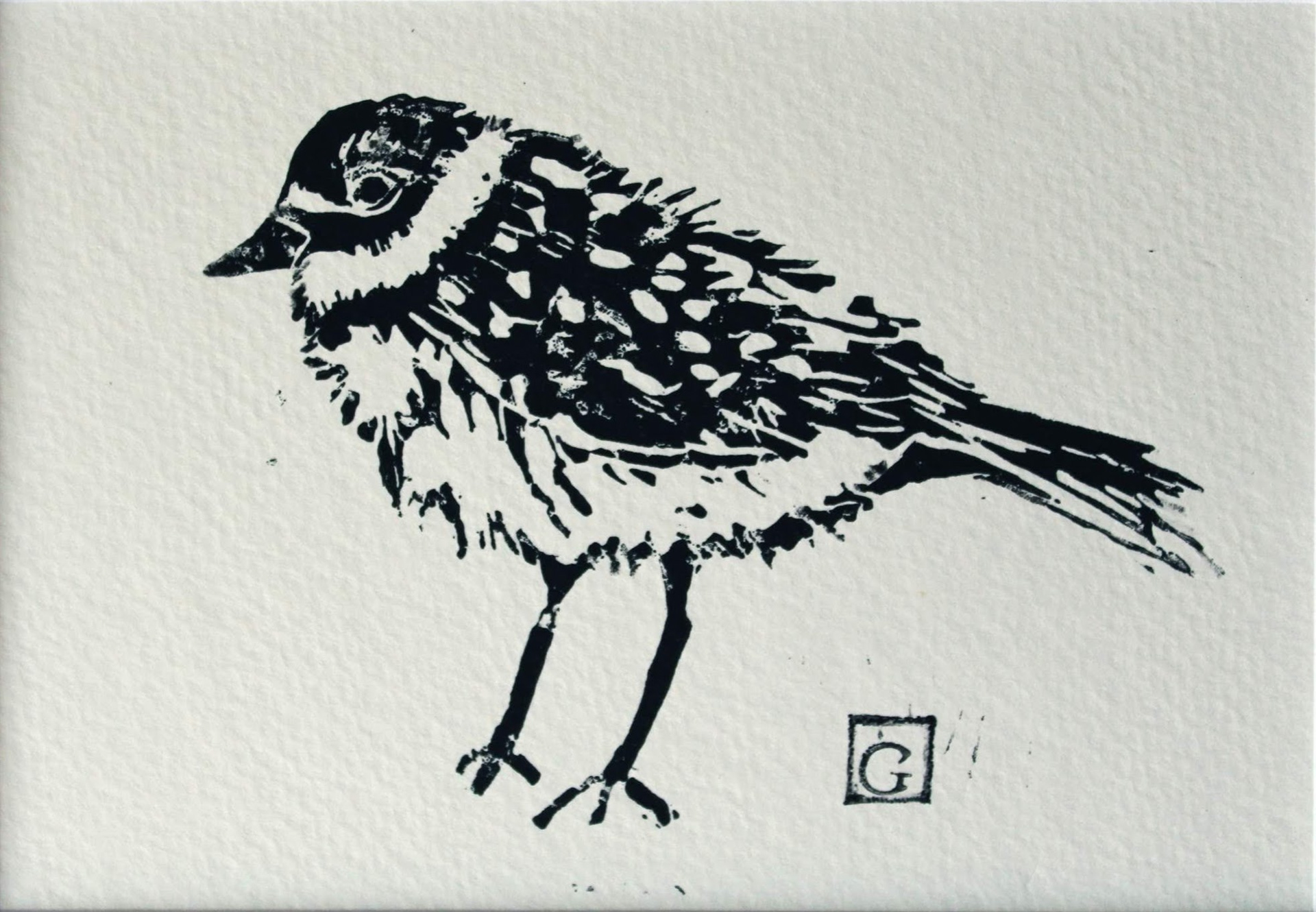 Plover Linocut