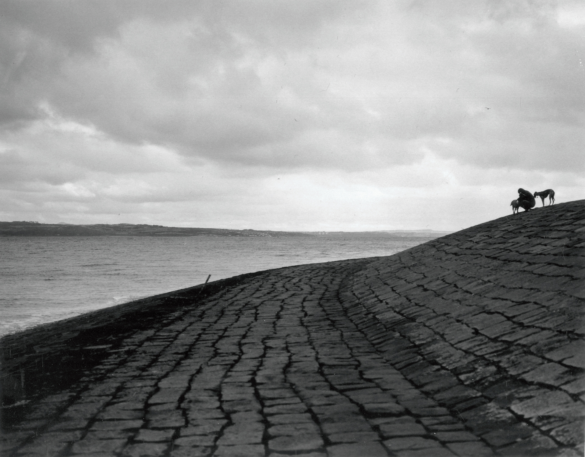 a man sits with his two dogs on a manmade bank by the sea