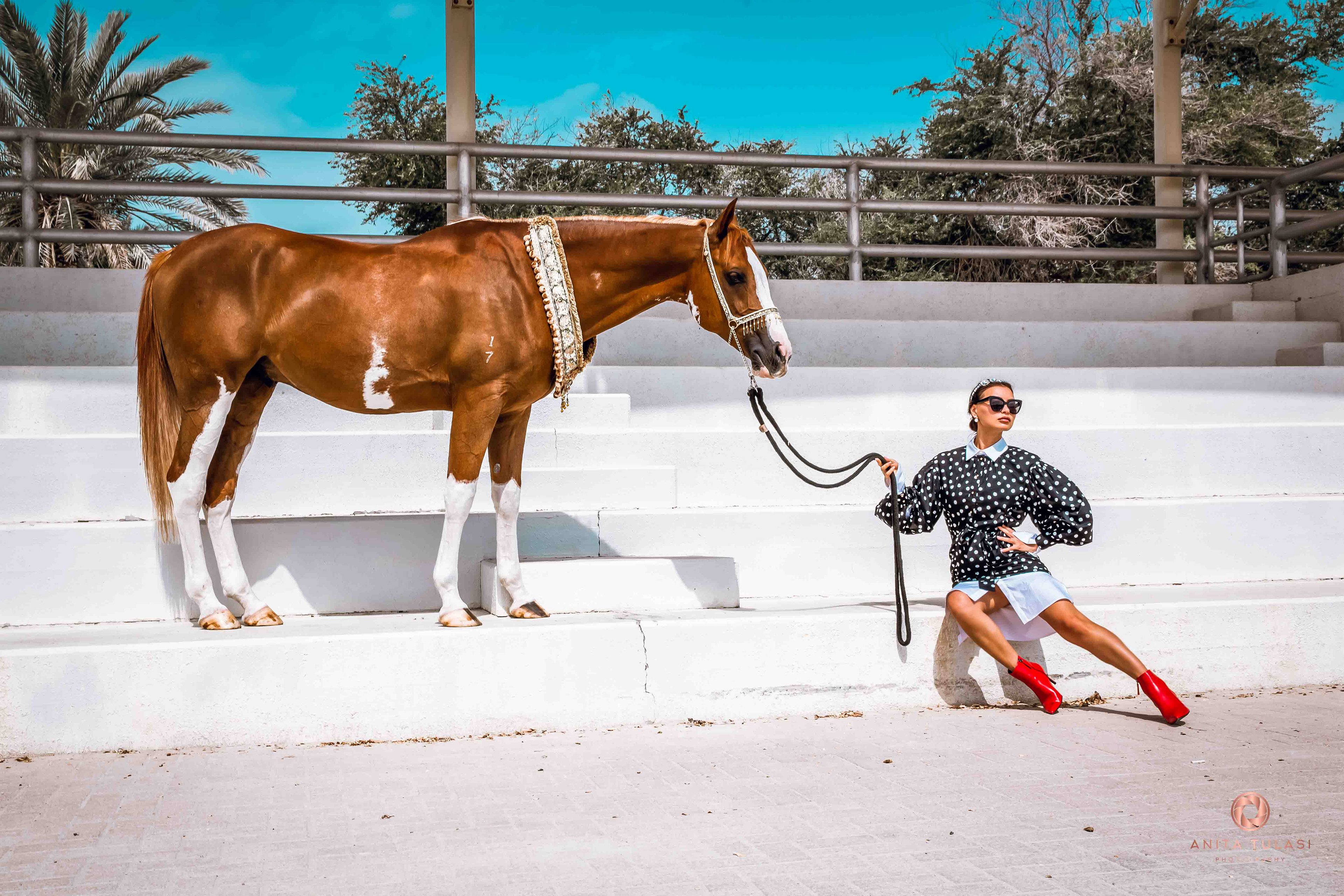 "Photography Masterclass at Polo Club" February 2019