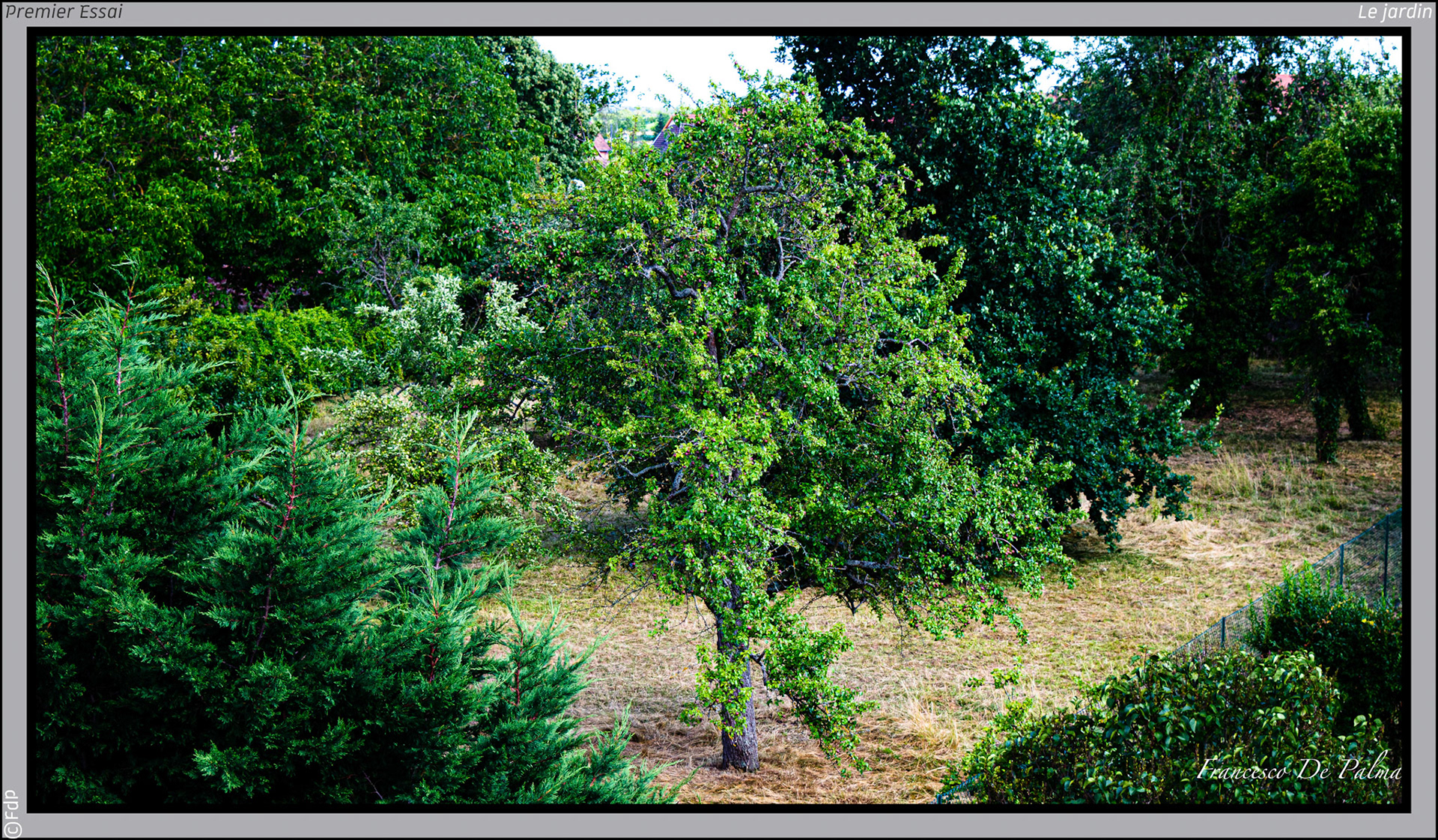 Le jardin