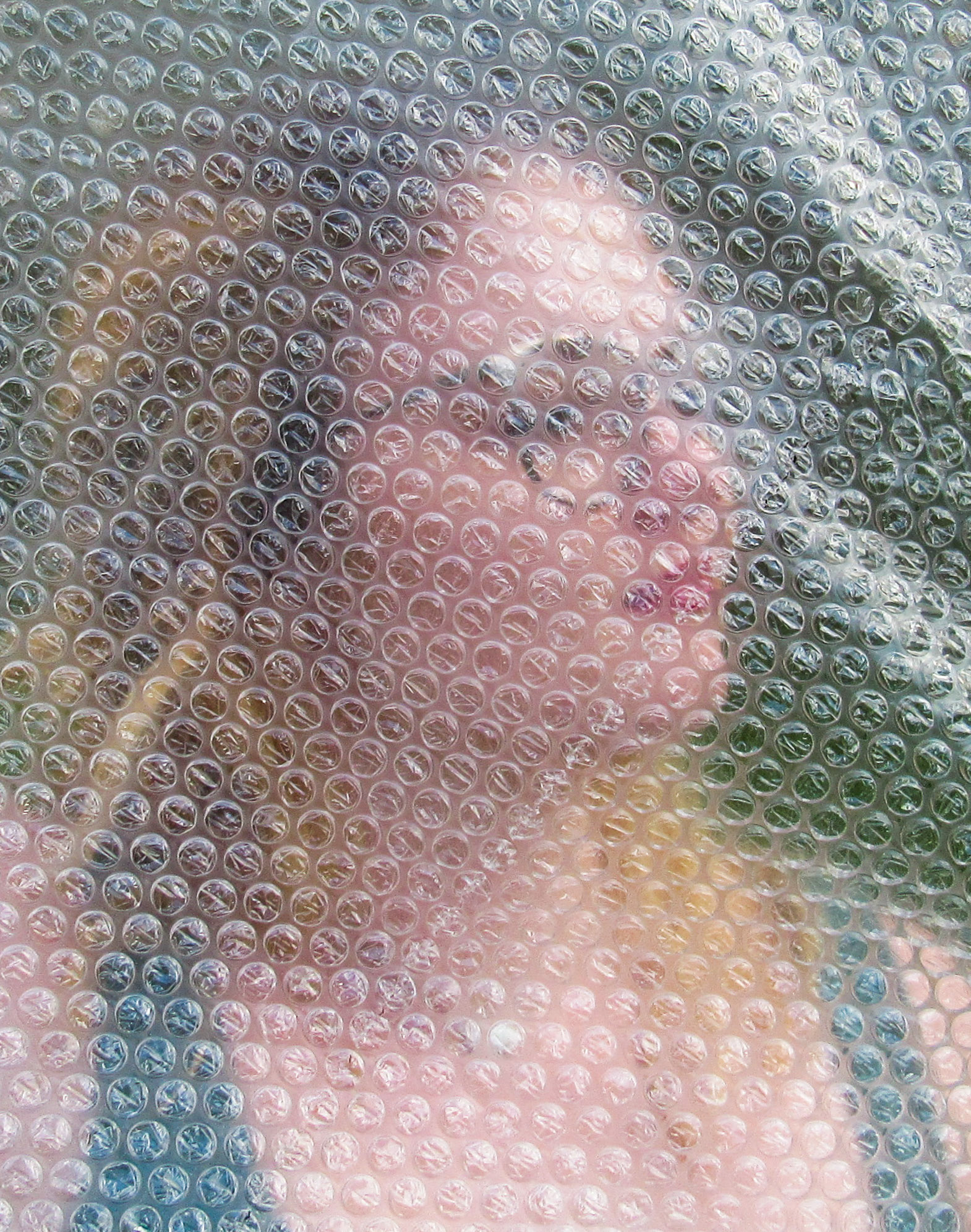Bronte Fry, Quarantine Bubble
