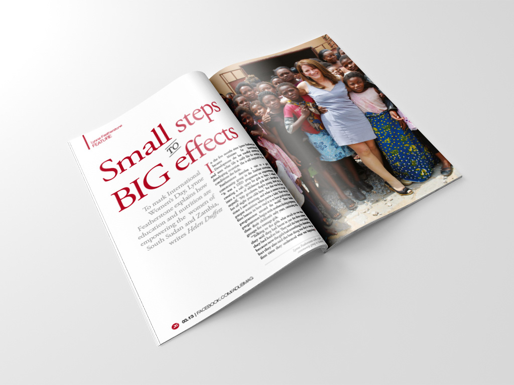 Liberal democrats magazine design