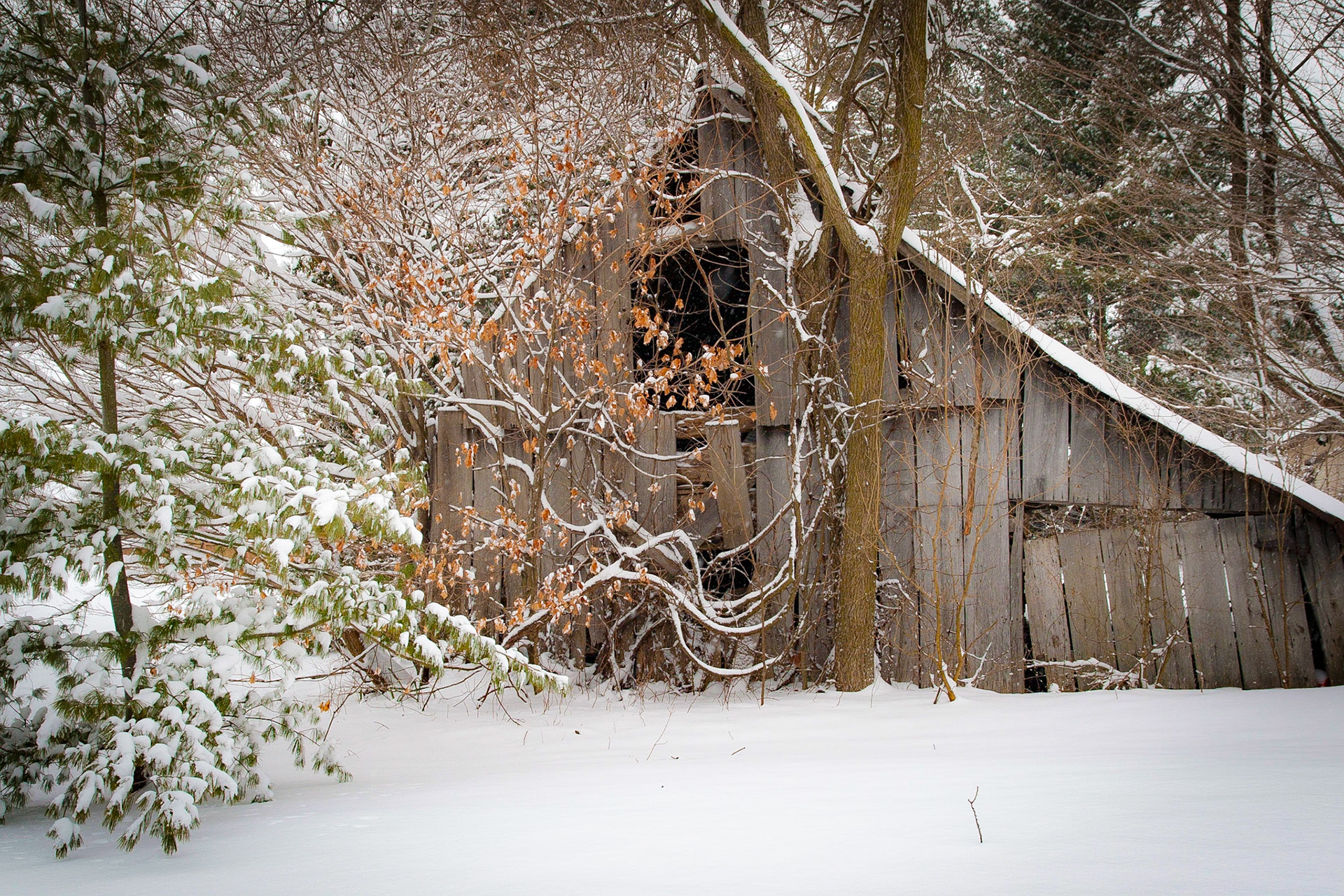Winter on Barn