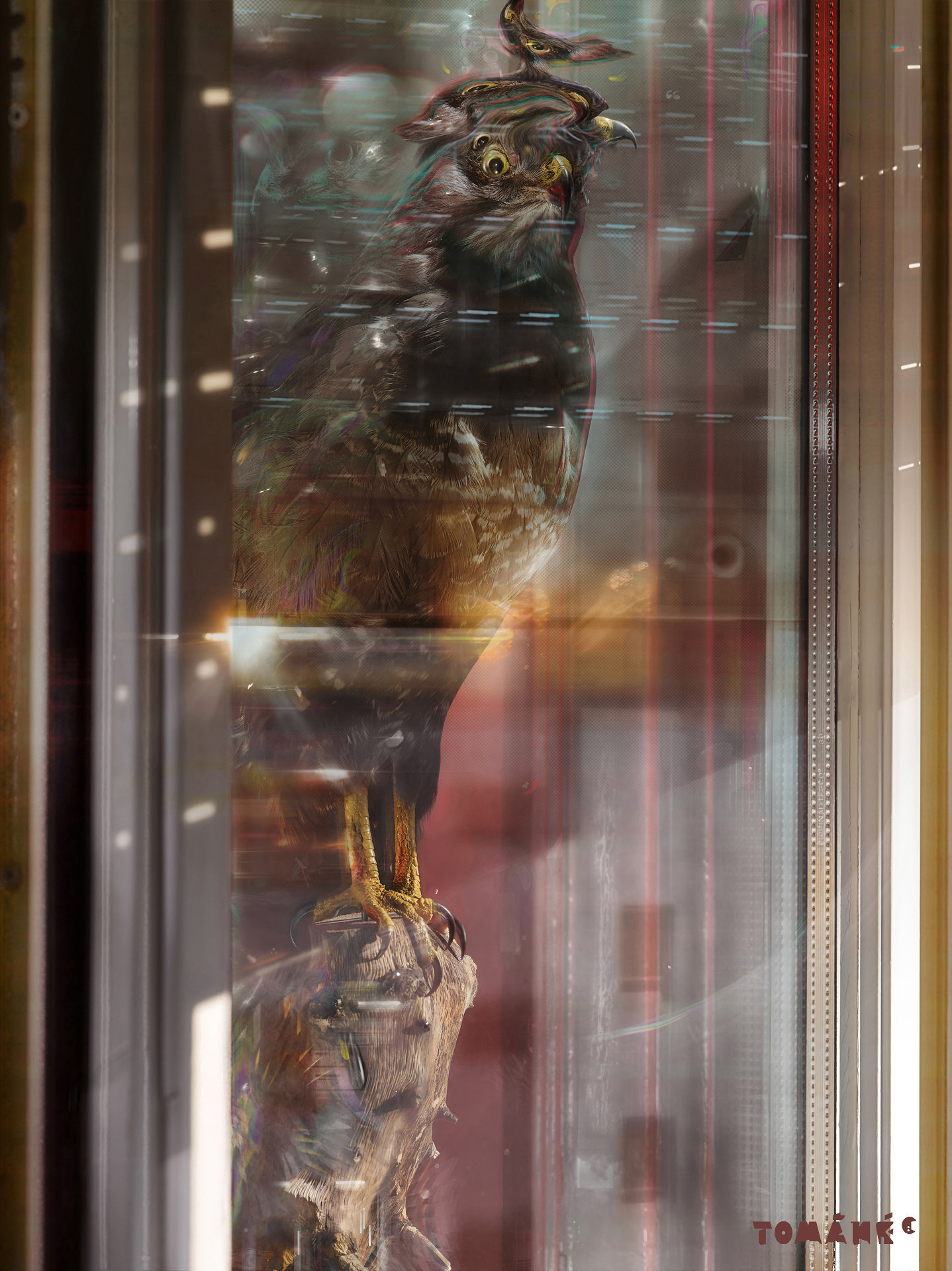 Marquis de la Buse Nr.4; MdlB; Architektur; Fotografieillustration