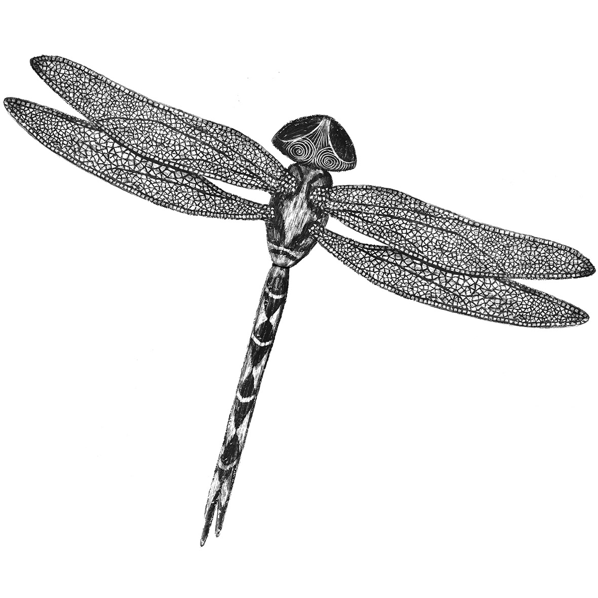 Dragonfly