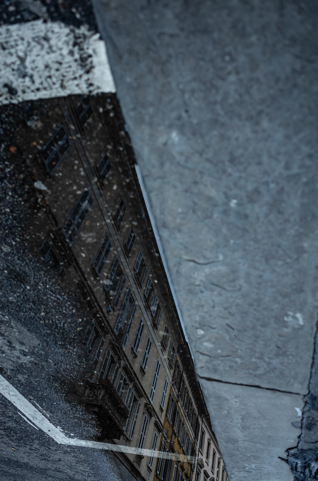 Puddle Reflection 16