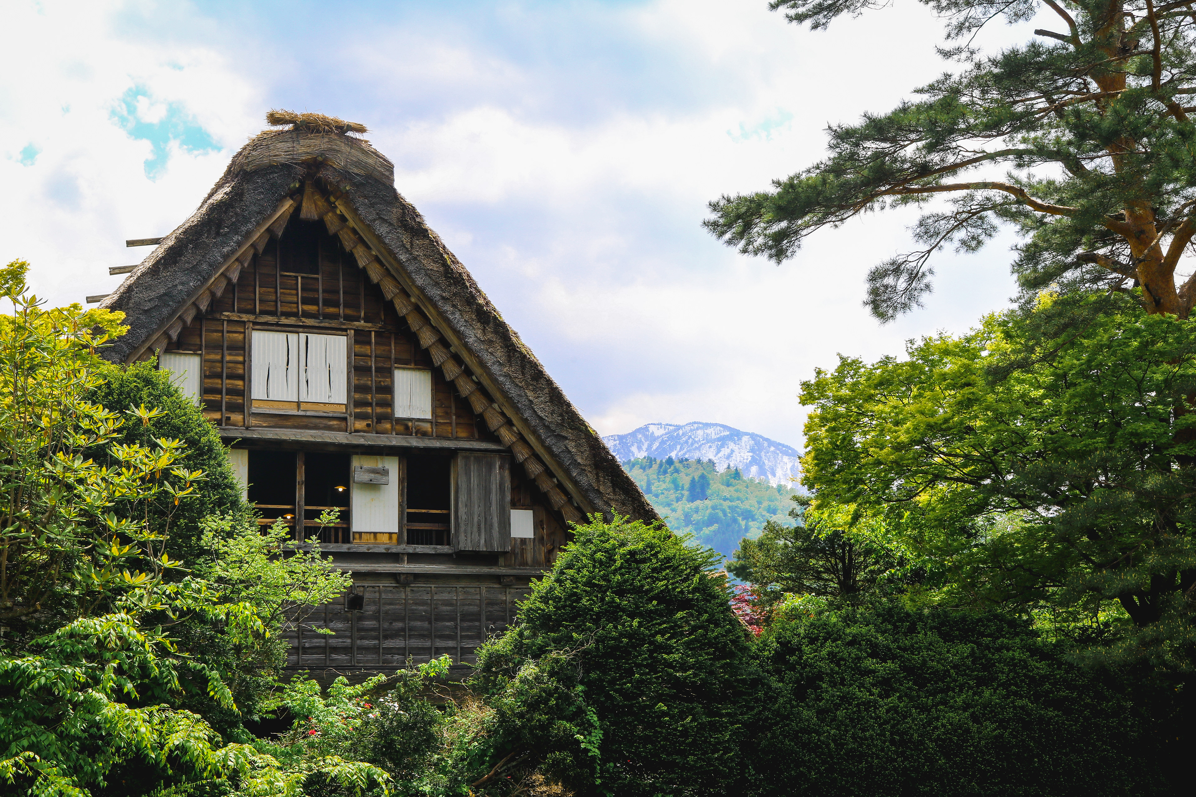 Daily views, Japan, 2018
