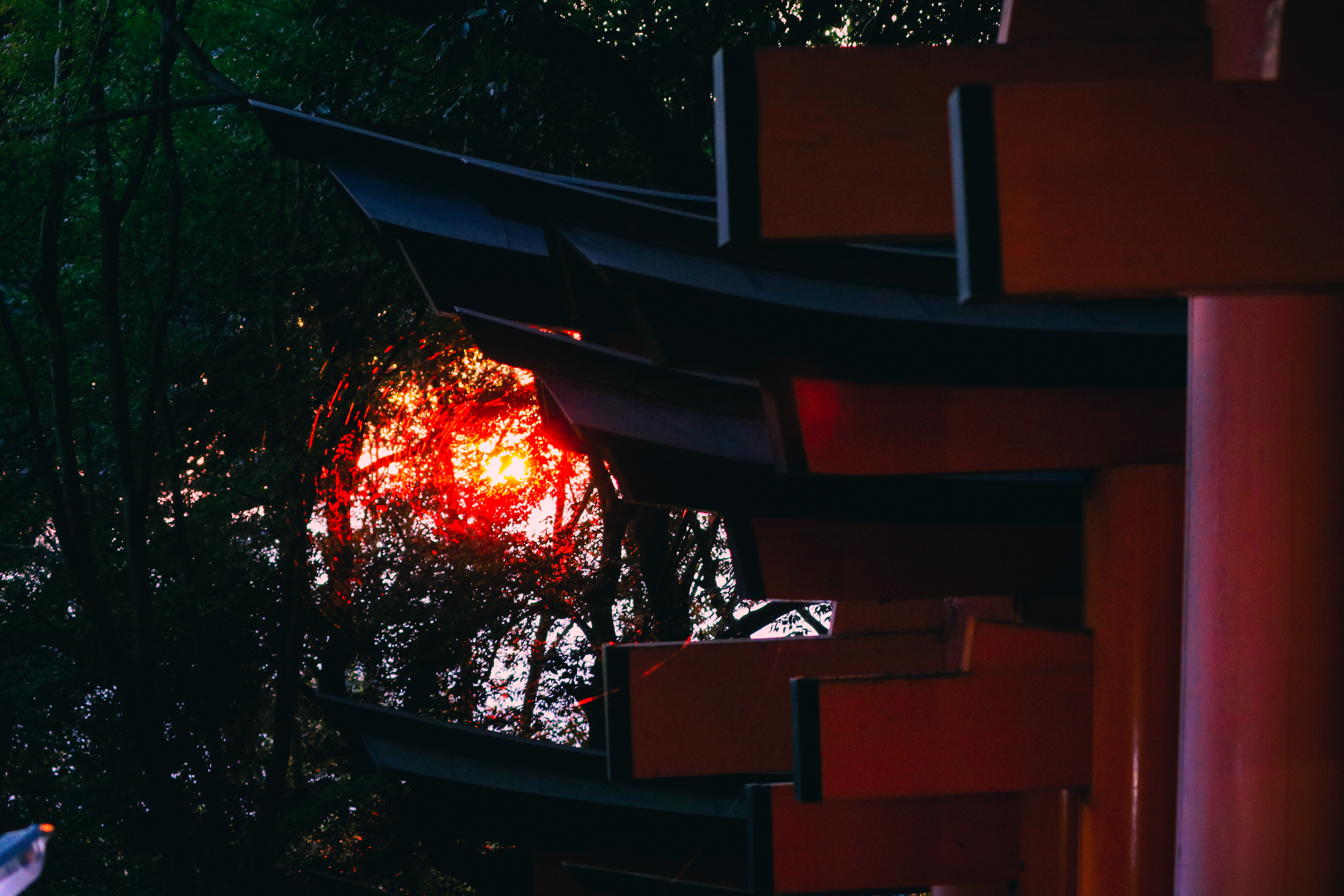 Sunset at Fushimi-Inari Taisha, Japan, 2017