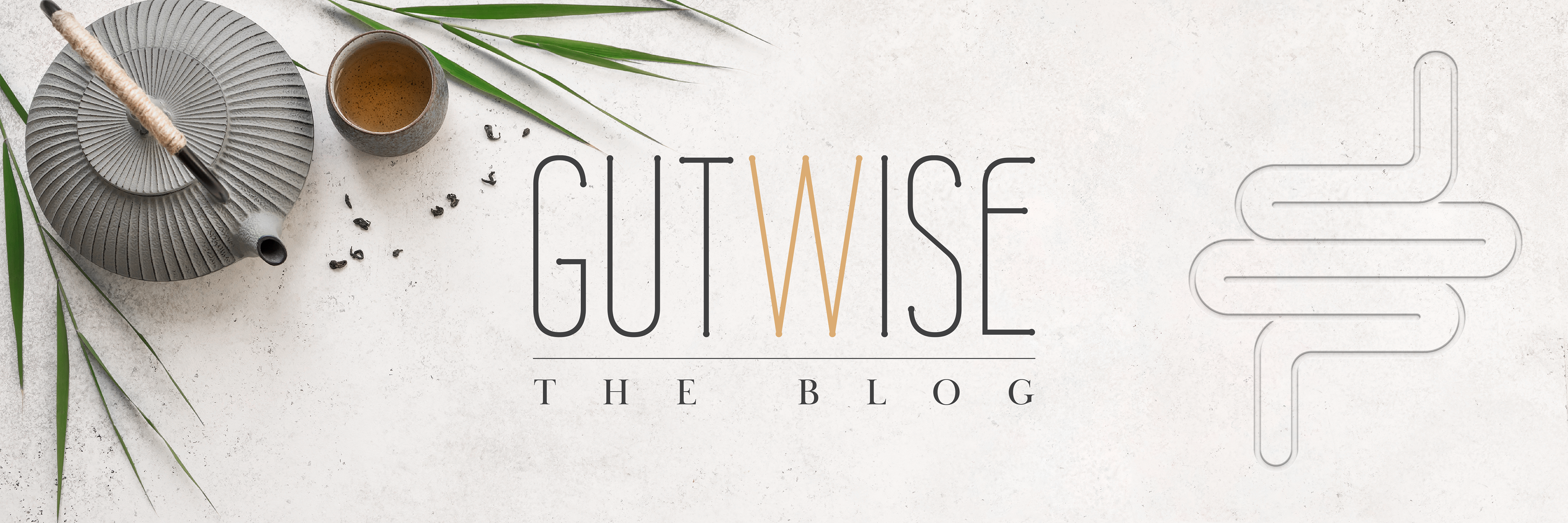 Gutwise logo and Web Banner