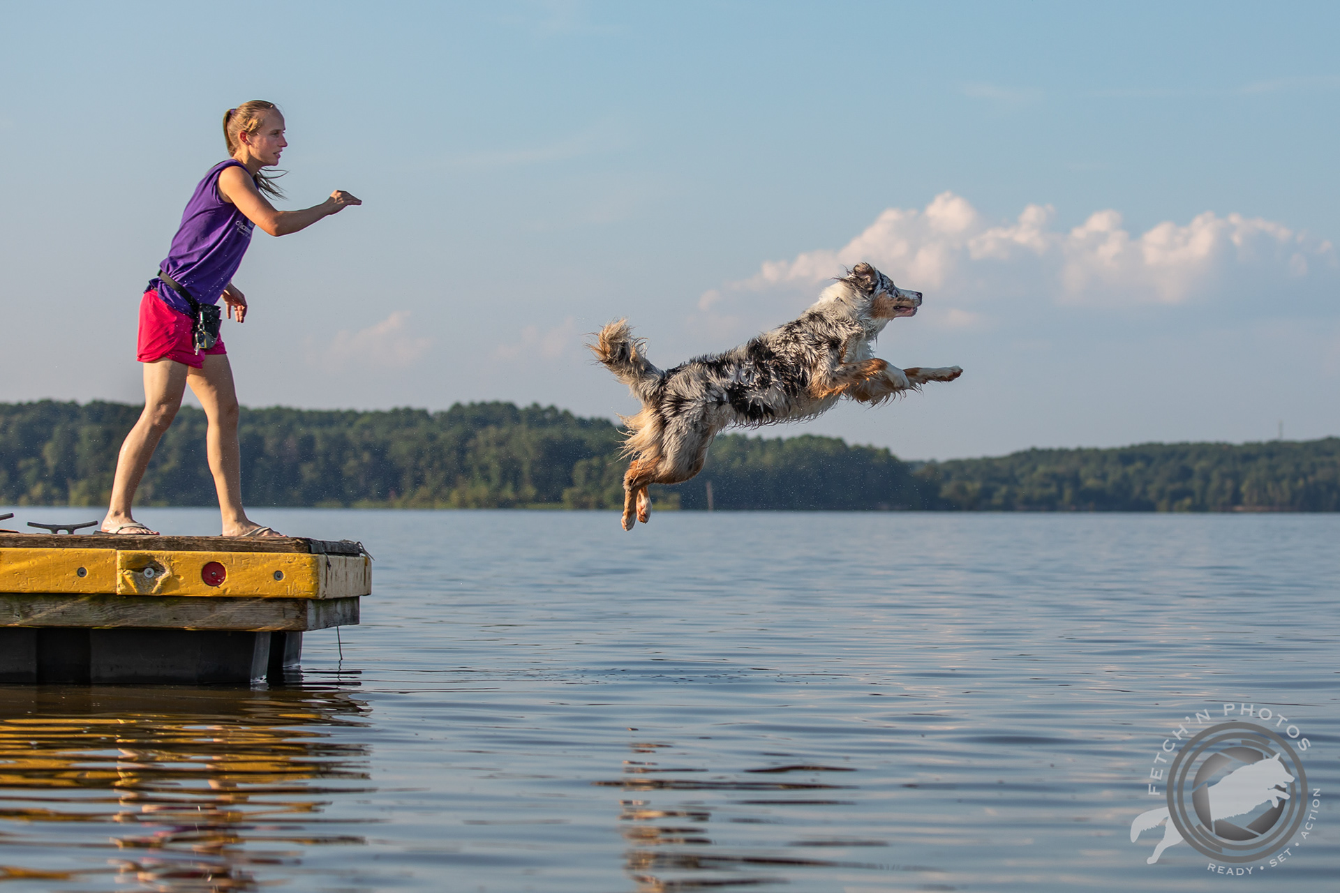 Fetch 'N Photos Dock Diving