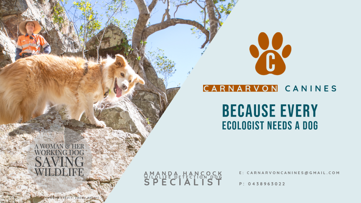 STQuoll surveys SEQ (photo: Ebony Reeves)
