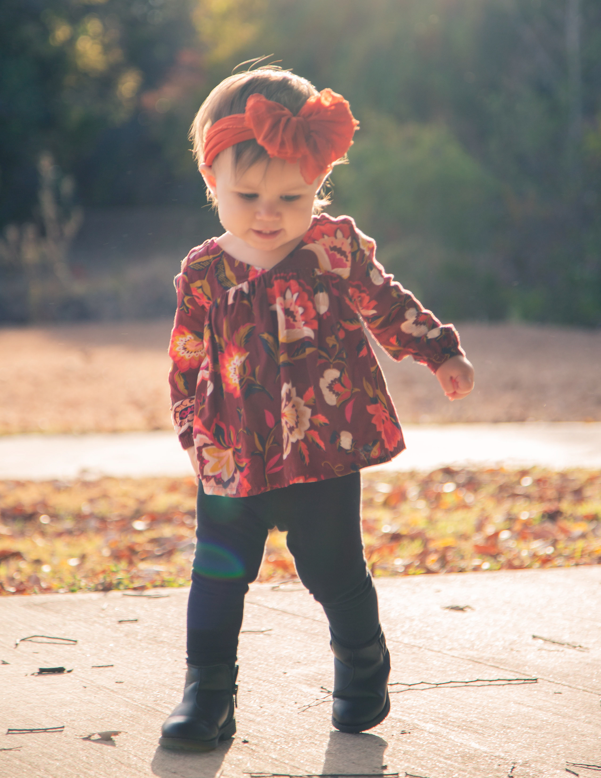 Victoria Twelve Month