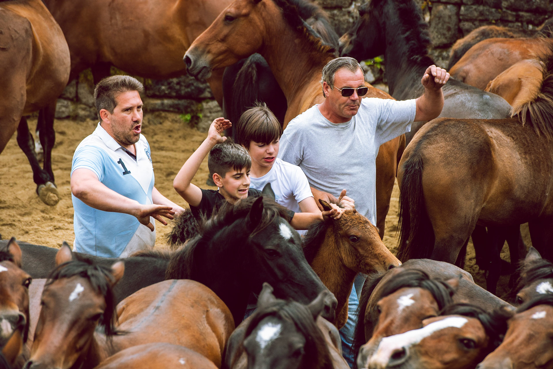 Dans l'arène