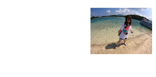 イラストレーター 澤橋園子 ポートフォリオ Contact イラストレーター 澤橋園子 ポートフォリオ Contact