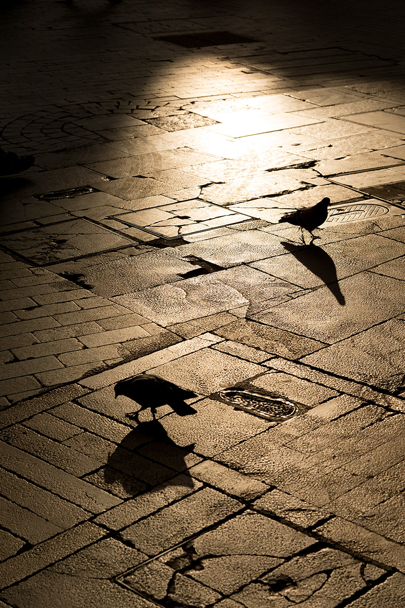 Imagen urbana de dos palomas a contraluz que en composición fotográfica actúan como puntos en la imagen