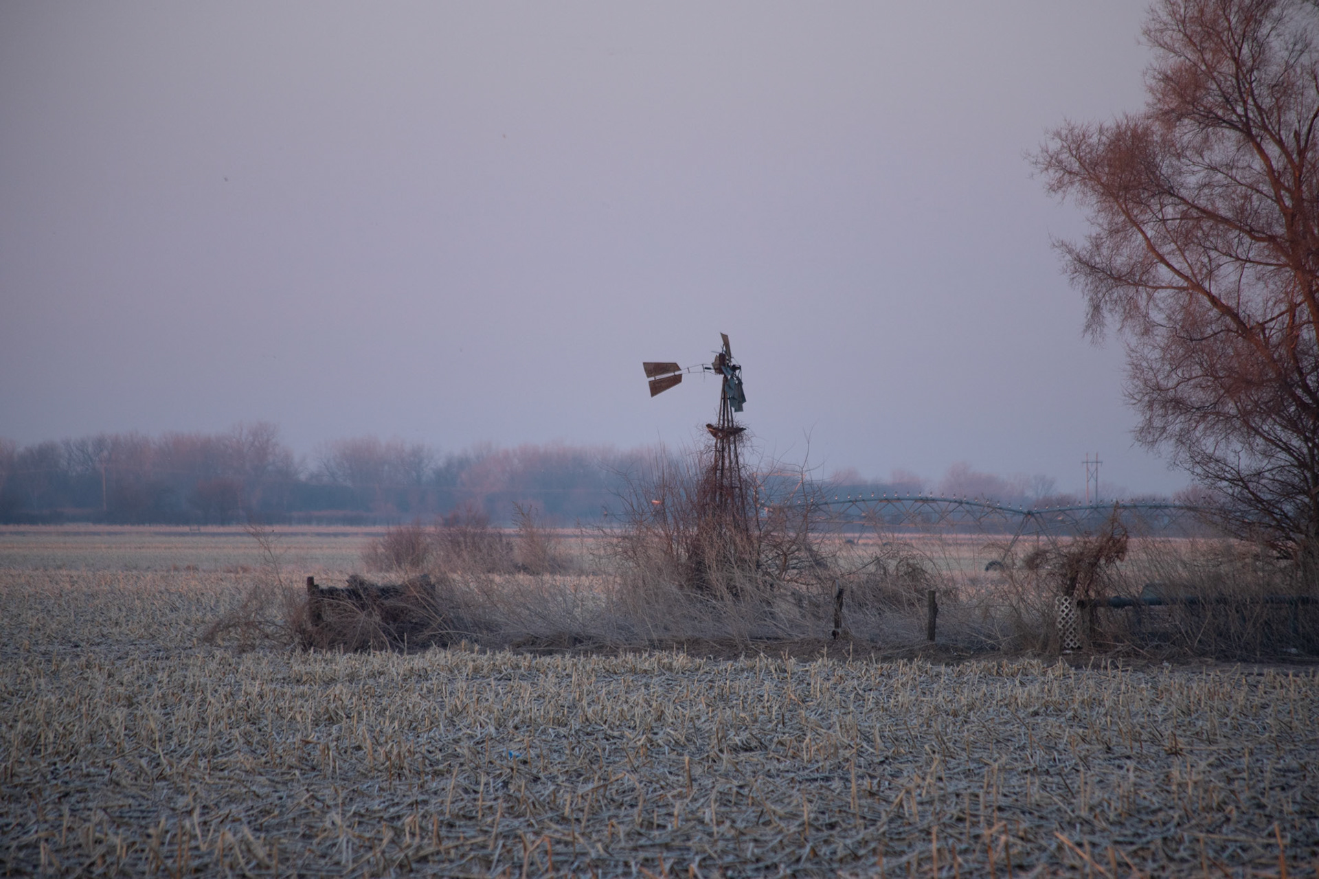 windmills