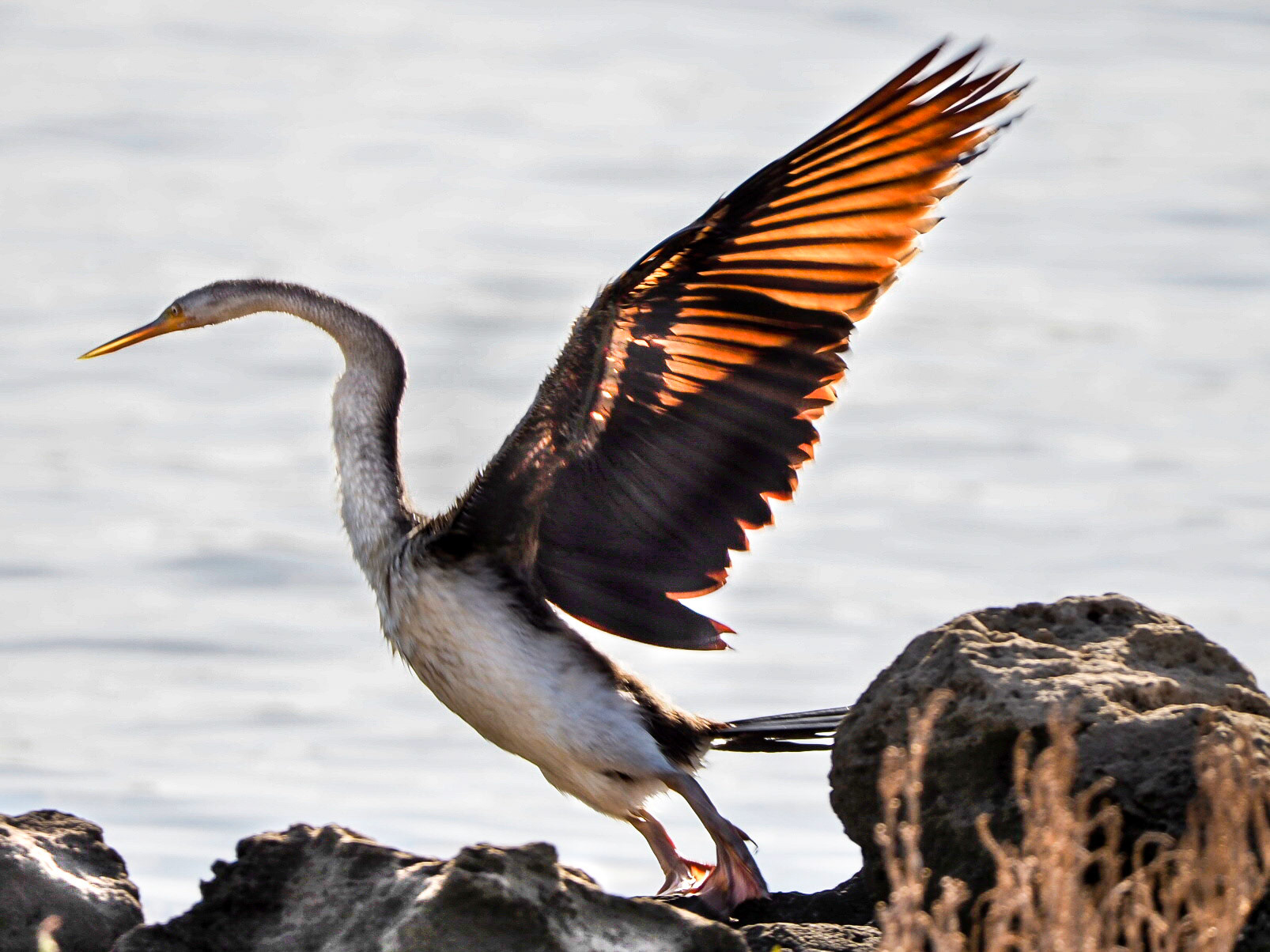 Take off