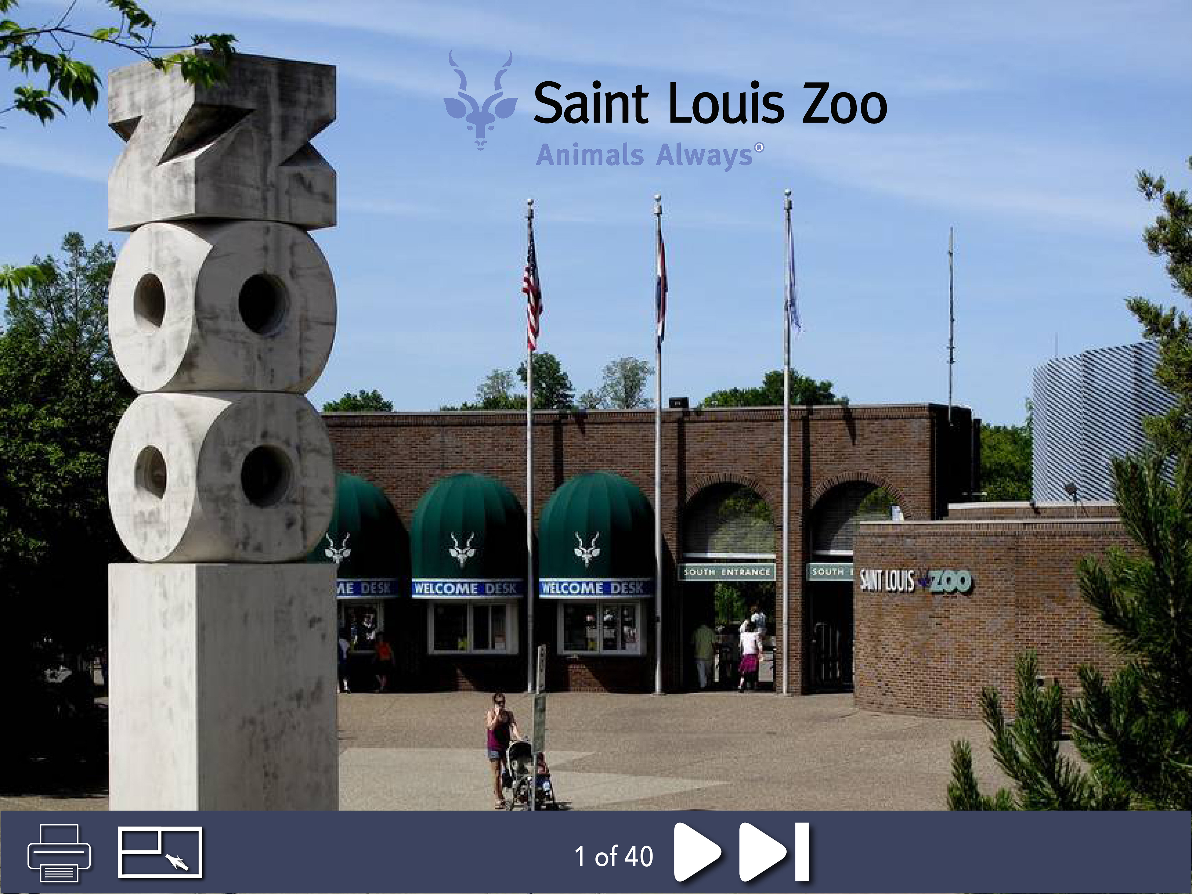 saint louis zoo virtual tour