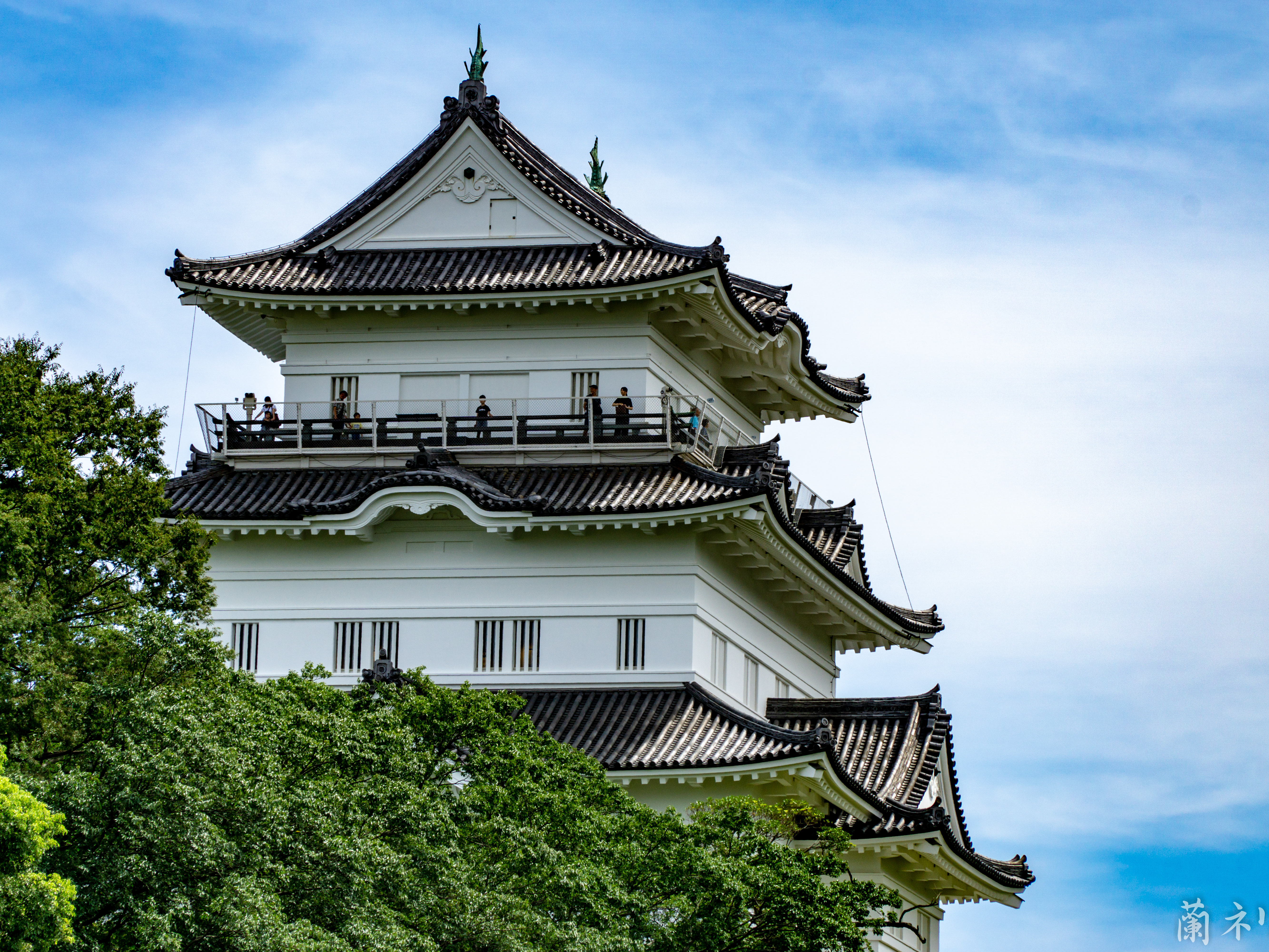 Поездка в японию 2024. Замок Одавара в Японии. Крепость Одавара. Замок Одавара Одавара. Хаконэ замок Одавара.