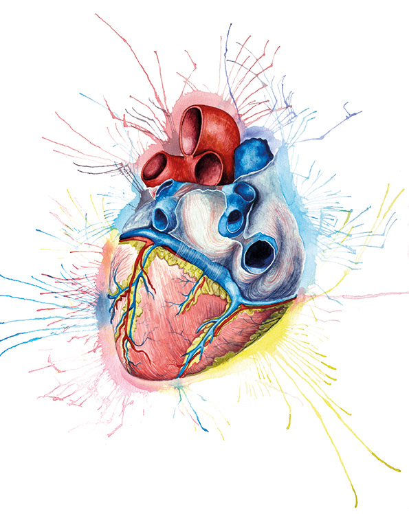 "Heart" commissioned painting