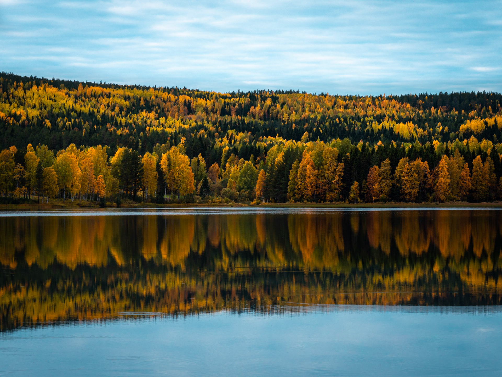 Lightseeker Photographs Autumn in Northern Sweden Herbst in