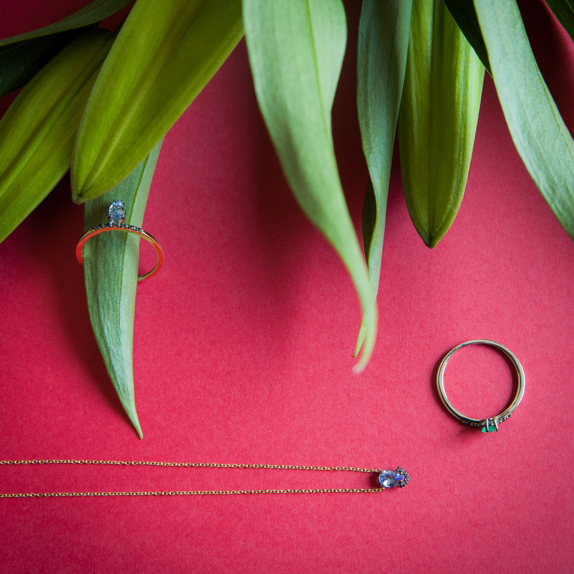 Carol Bassi Jewelry | Coleção Tous les Jours