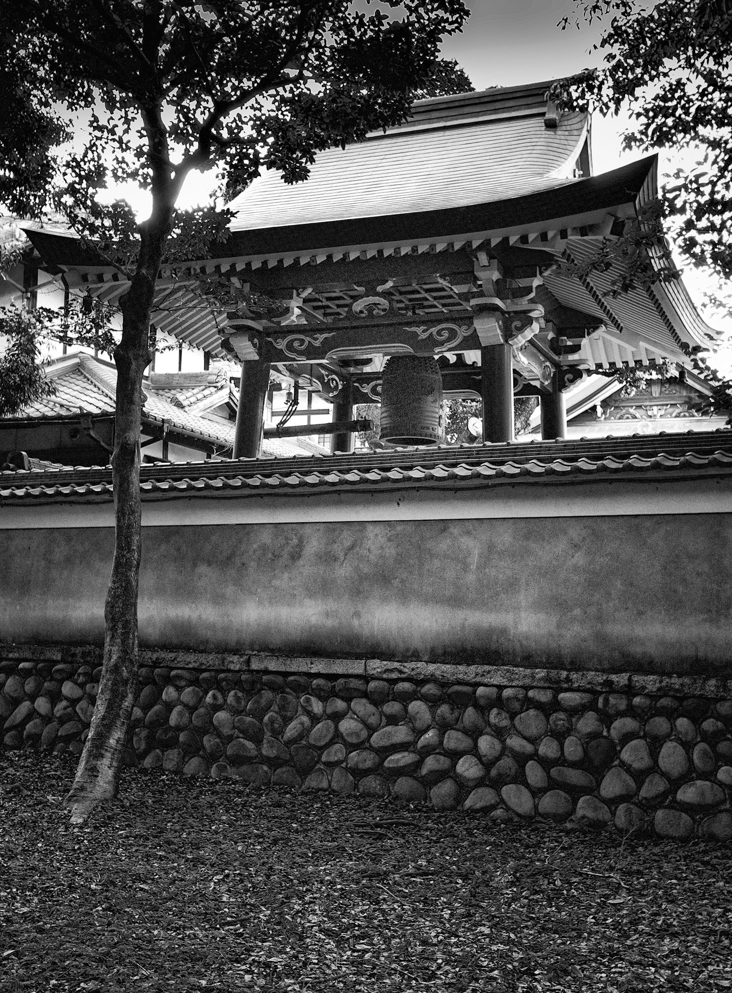 Single Outside the Shrine