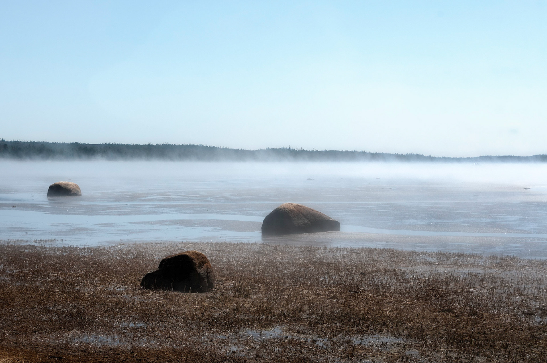 Mist on the Inlet, Clam Harbour Nova Scotia