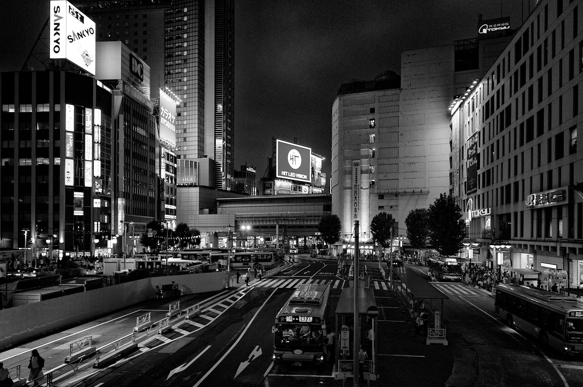 Night Life - Shibuya Japan