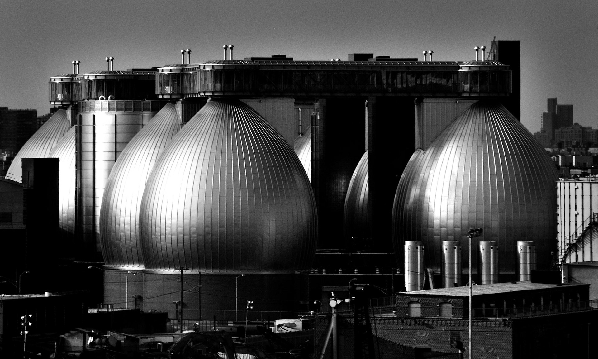 Domes - Queens NY