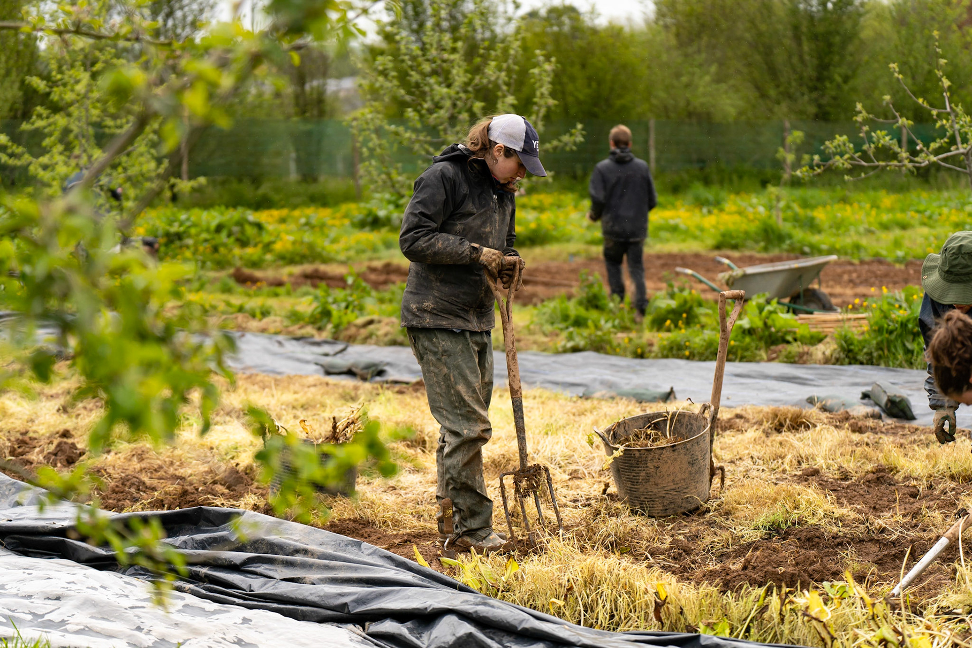 Josh Pratt | https://www.instagram.com/mrjoshpratt/