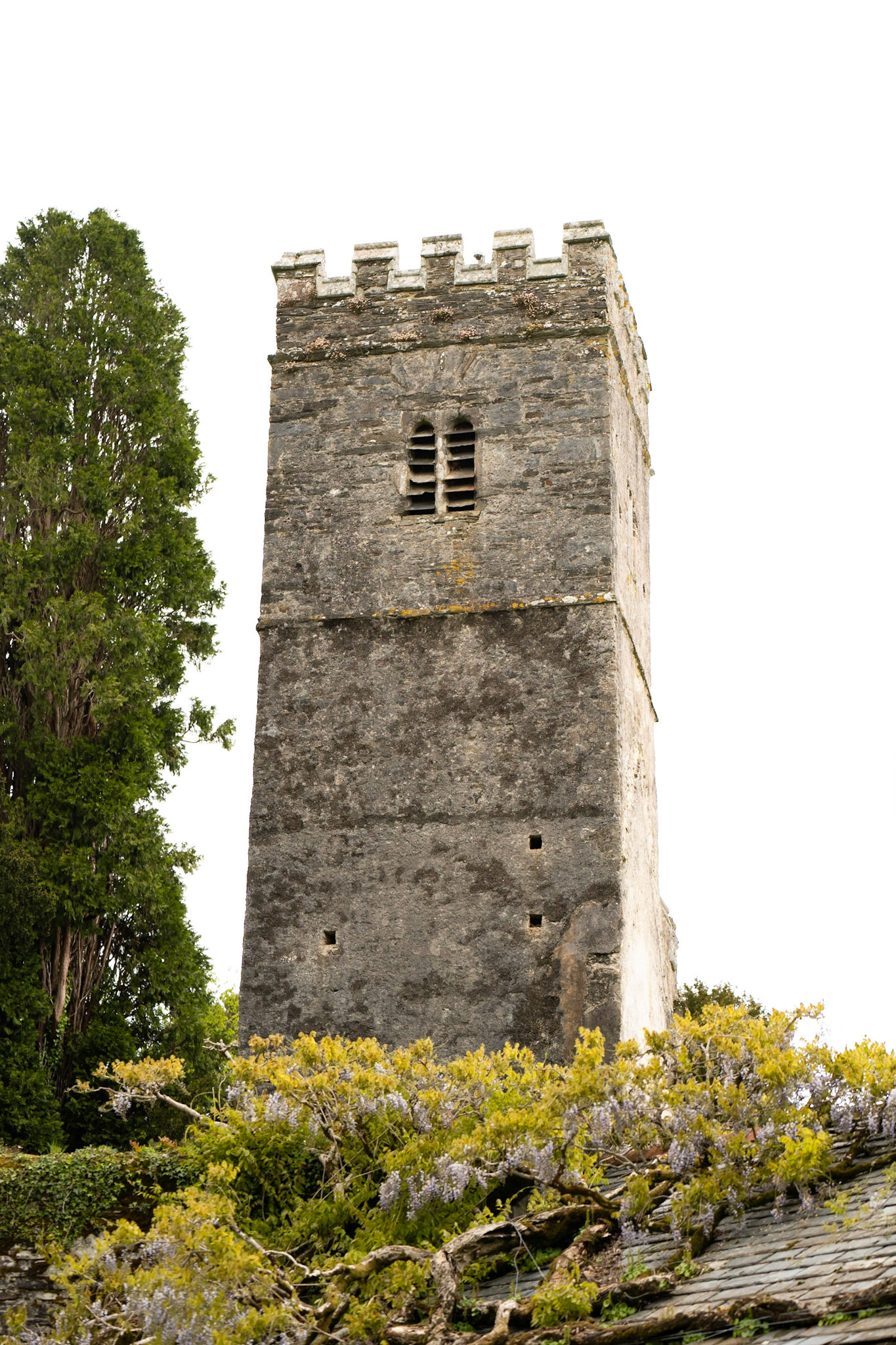 Josh Pratt | https://www.instagram.com/mrjoshpratt/