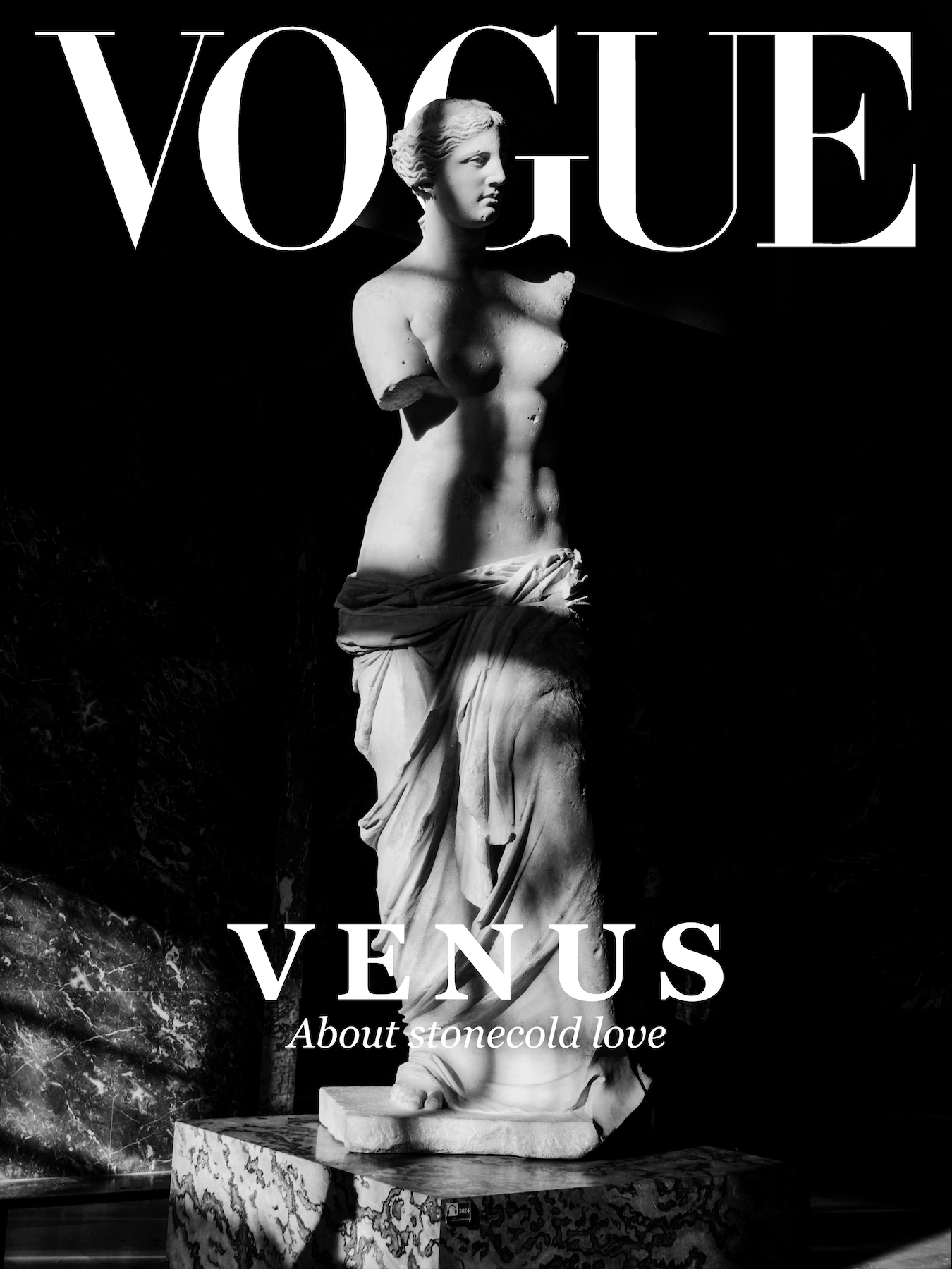 Vogue And Venus